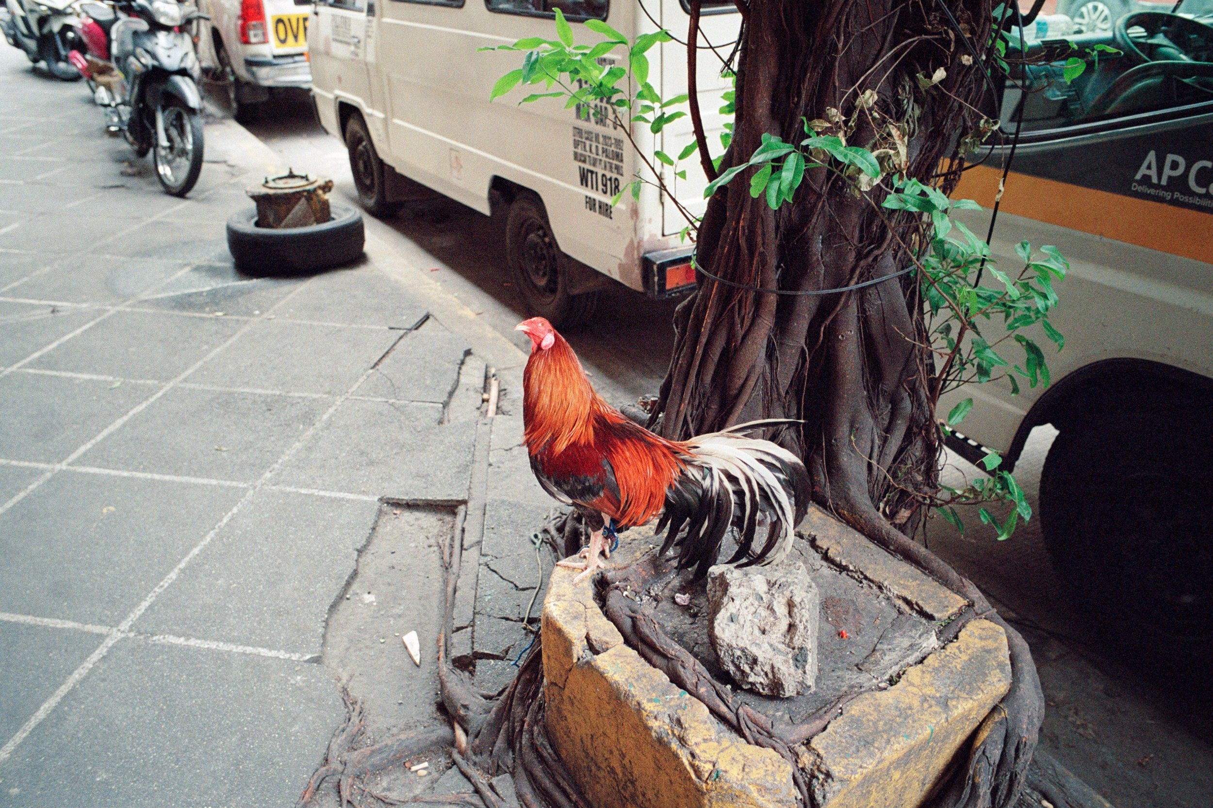 032024-Manila-MP28mm-Portra800-04.jpg
