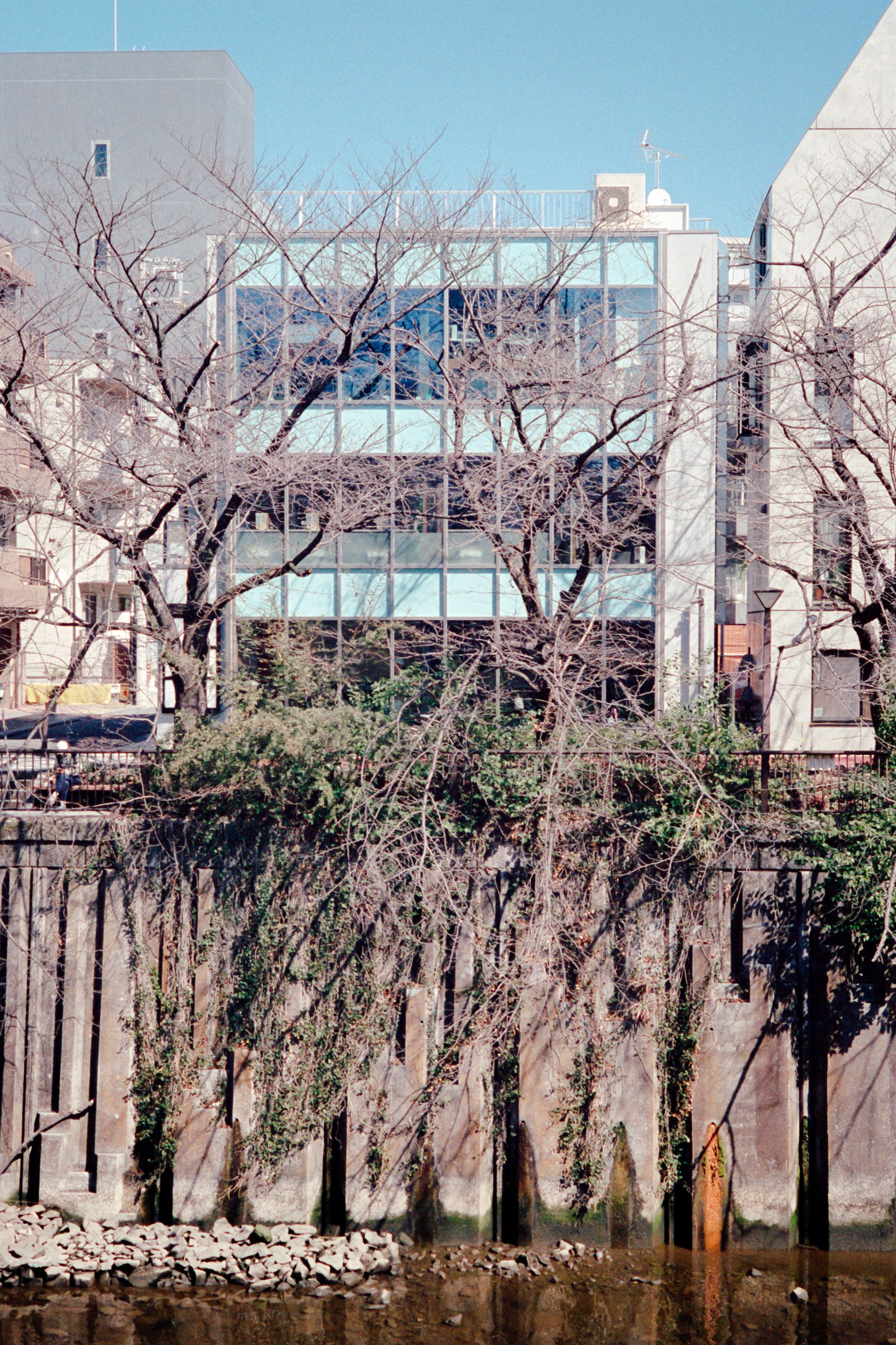 032024-Tokyo-MP28mm-Portra800-09.jpg