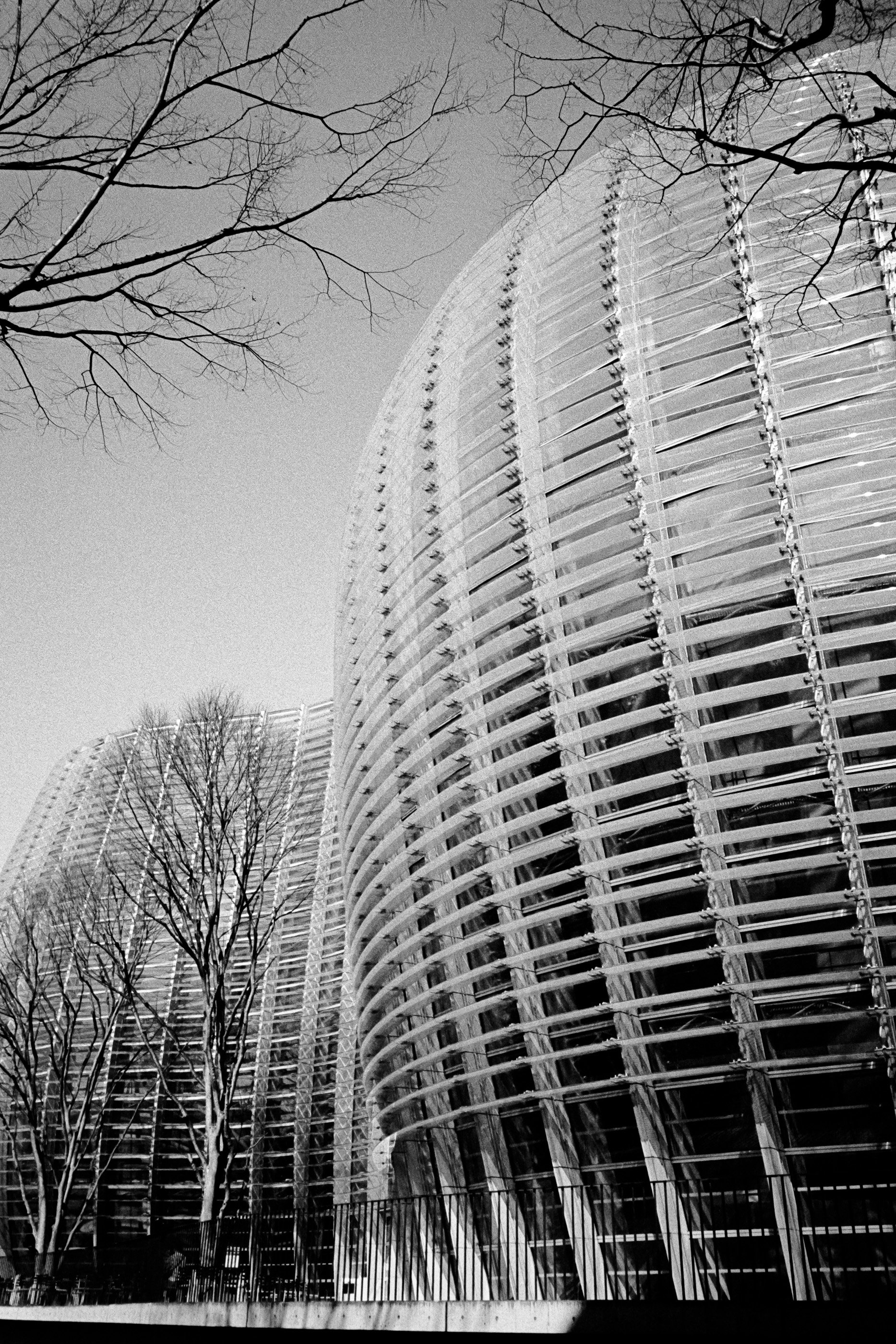 032024-Tokyo-MP28mm-TriX400-07.jpg