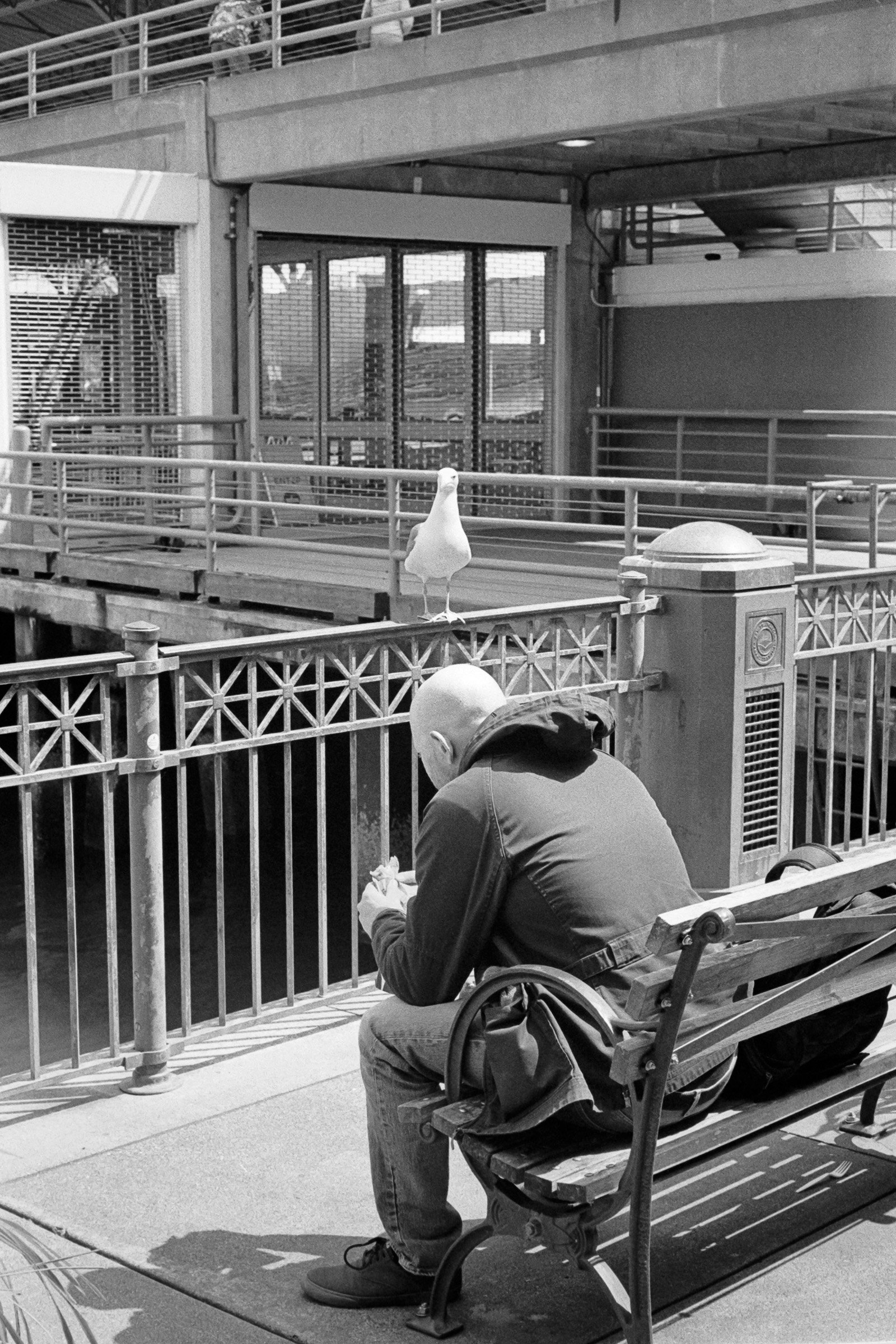042024-SF-MP50mm-HP5-02.jpg