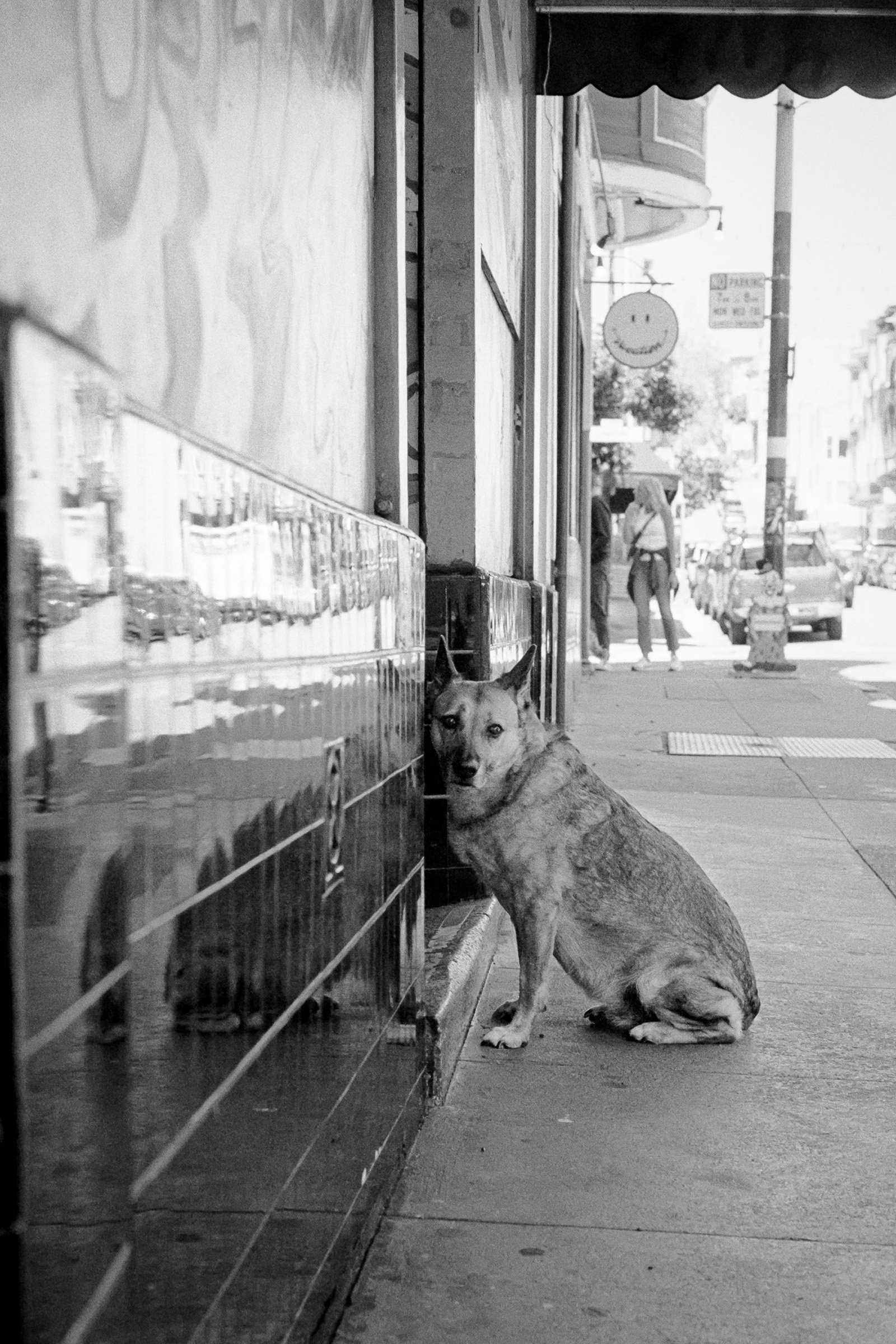 042024-SF-MP50mm-Kentmere400-03.jpg