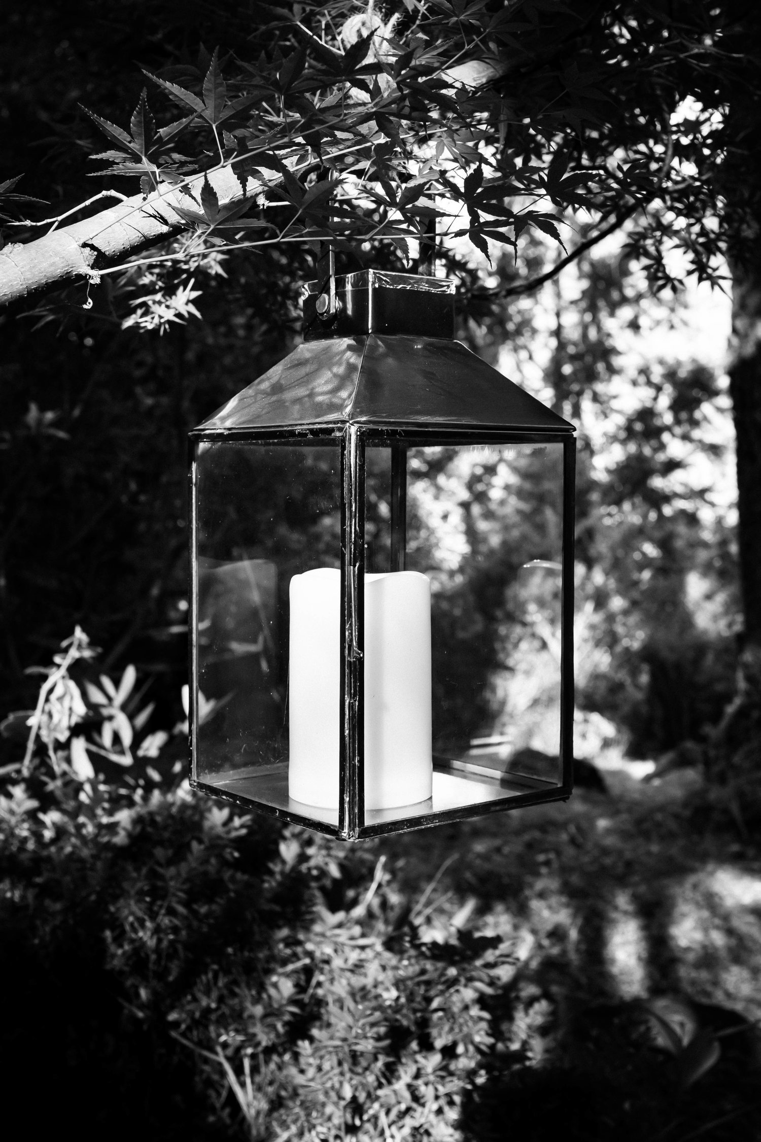 06-Sonoma-Path-Light-01.jpg