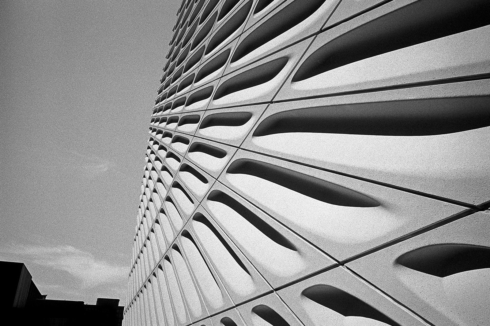 072023-LA-MP28mm-TX400-02.jpg