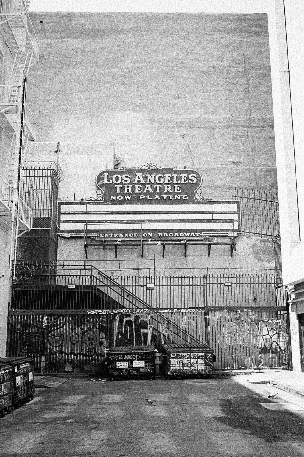 072023-LA-MP28mm-TX400-08.jpg