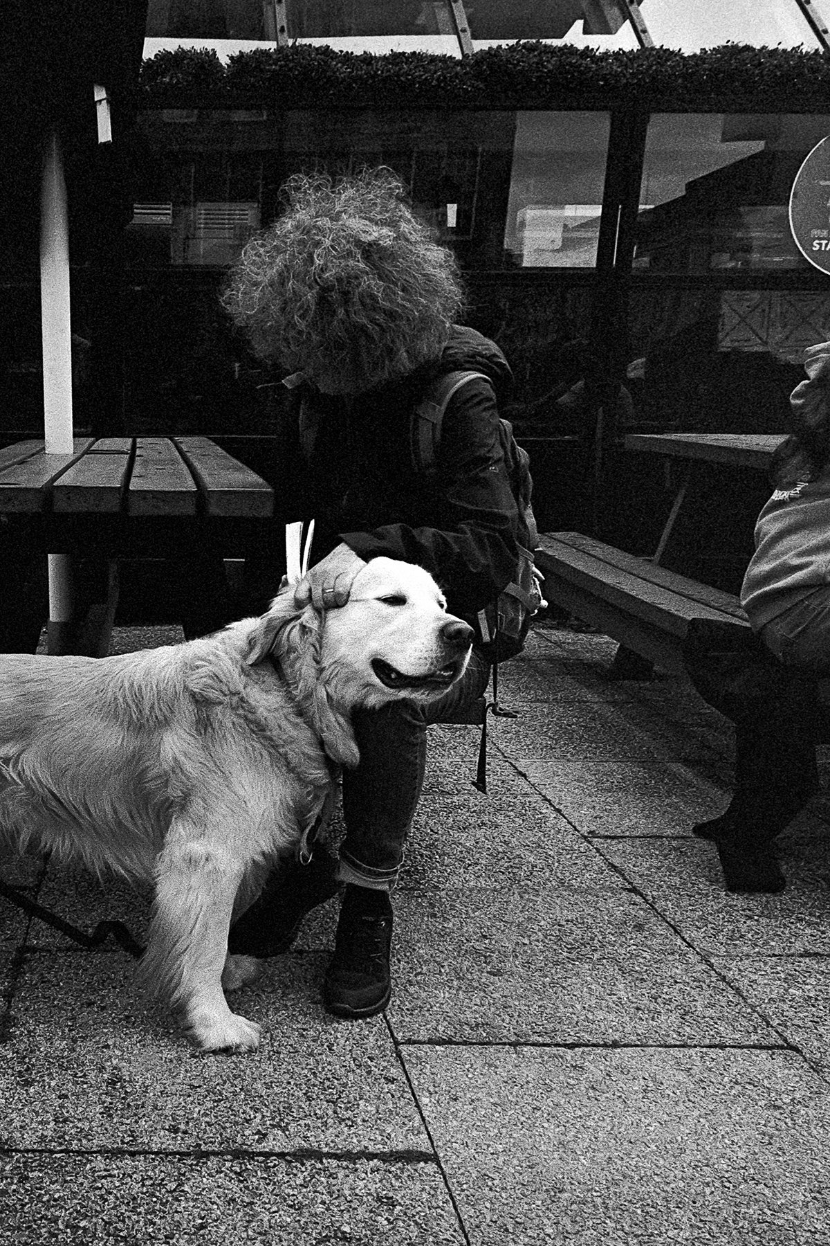0723-Dublin-MP28mm-TX400-01.jpg