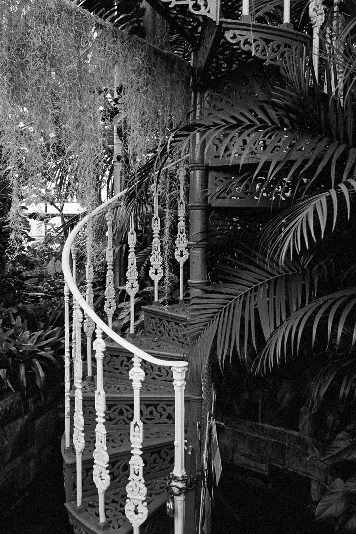 0723-Glasgow-MP28mm-TX400-02.jpg