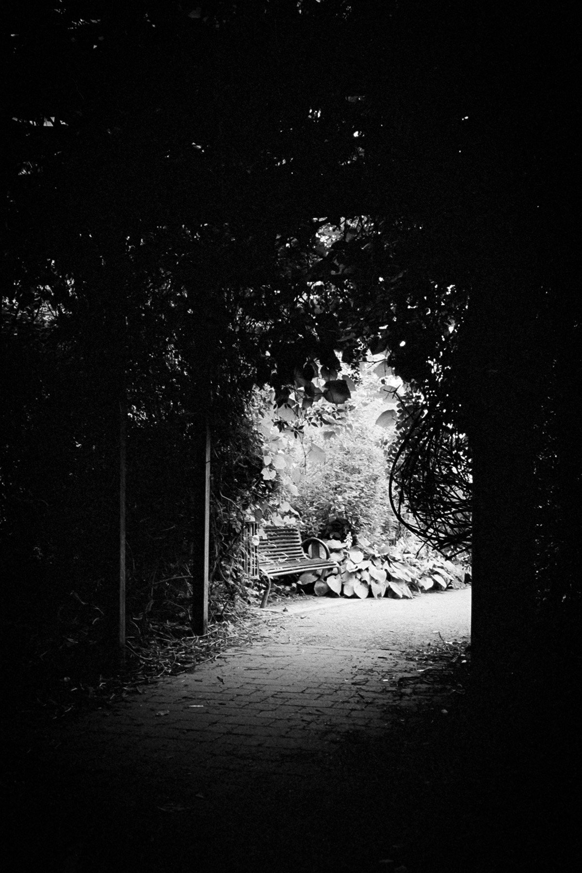 0723-Glasgow-MP28mm-TX400-03.jpg