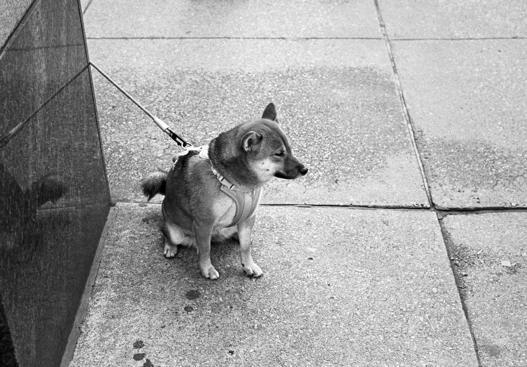 102023-NYC-MP50mm-TX400-02.jpg