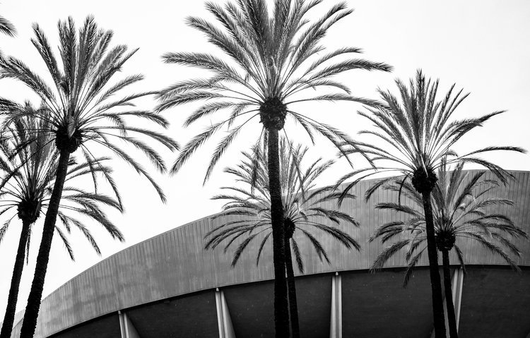 anaheim-01.jpg