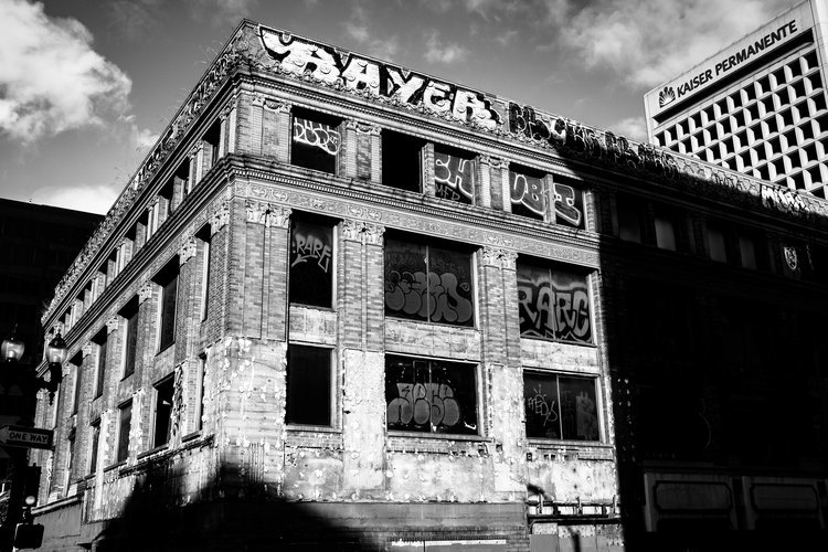 Bayer_v_Kaiser-01.jpg
