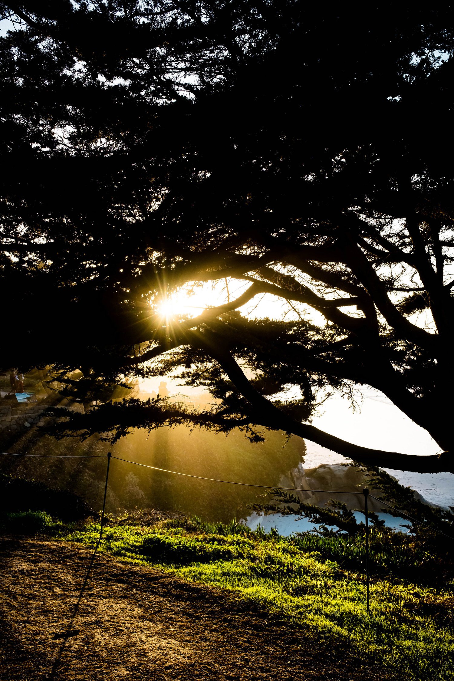 Carmel_Beach-02.jpg
