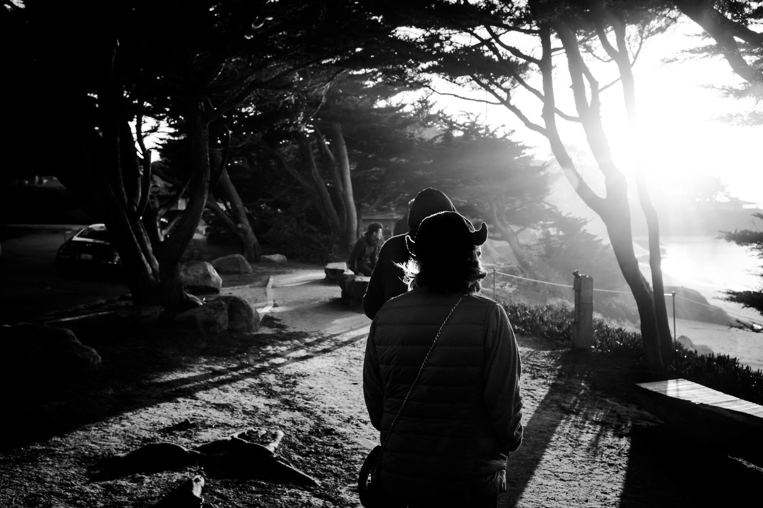 Carmel_Beach-03.jpg