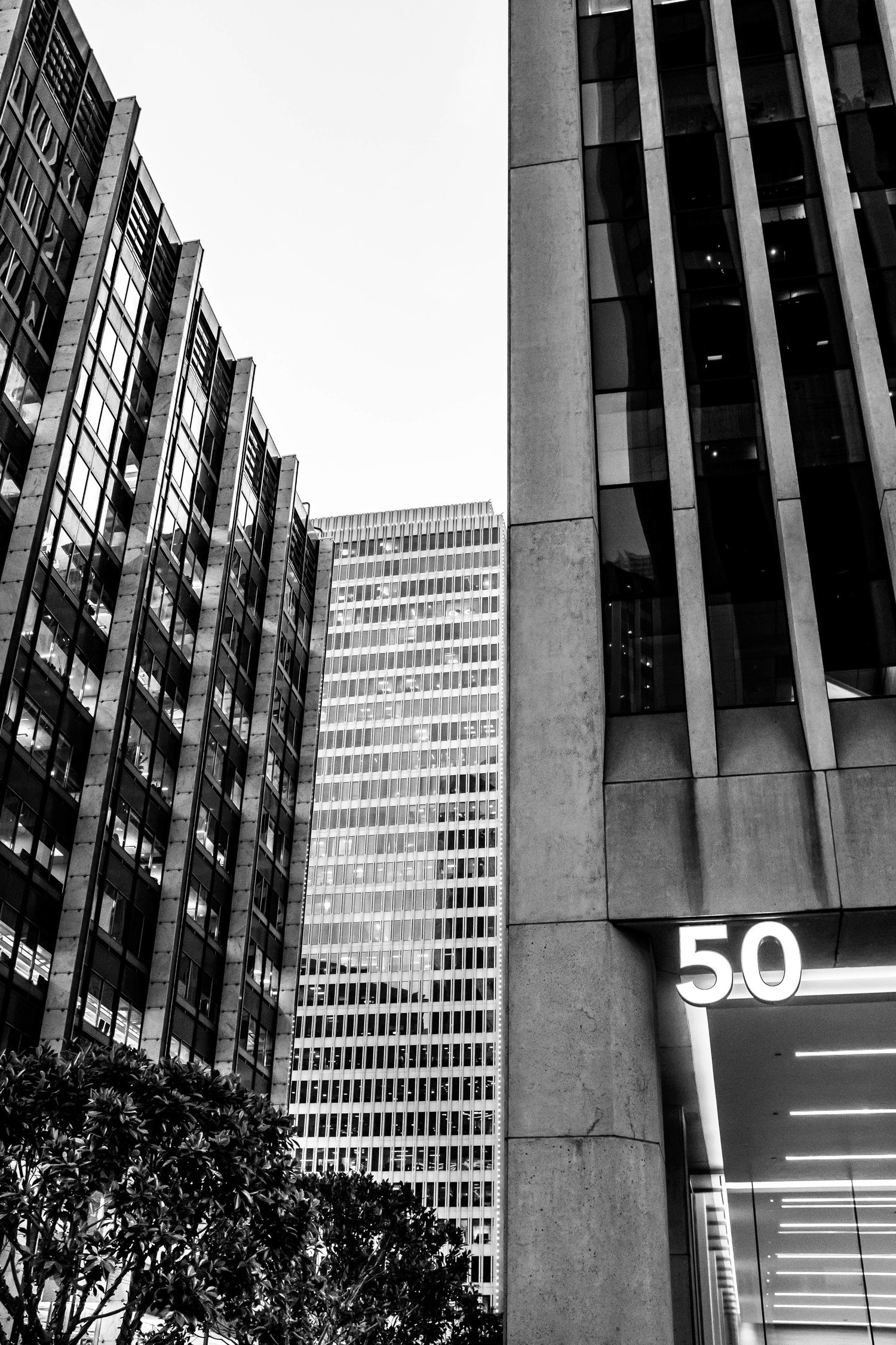 FiDi-02.jpg.jpg