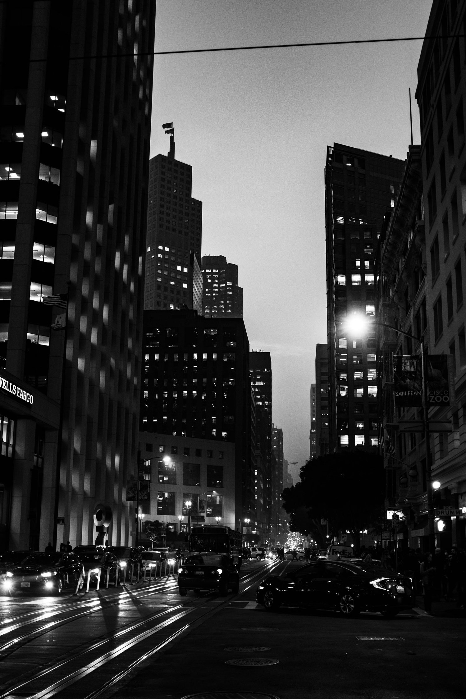 FiDi.jpg