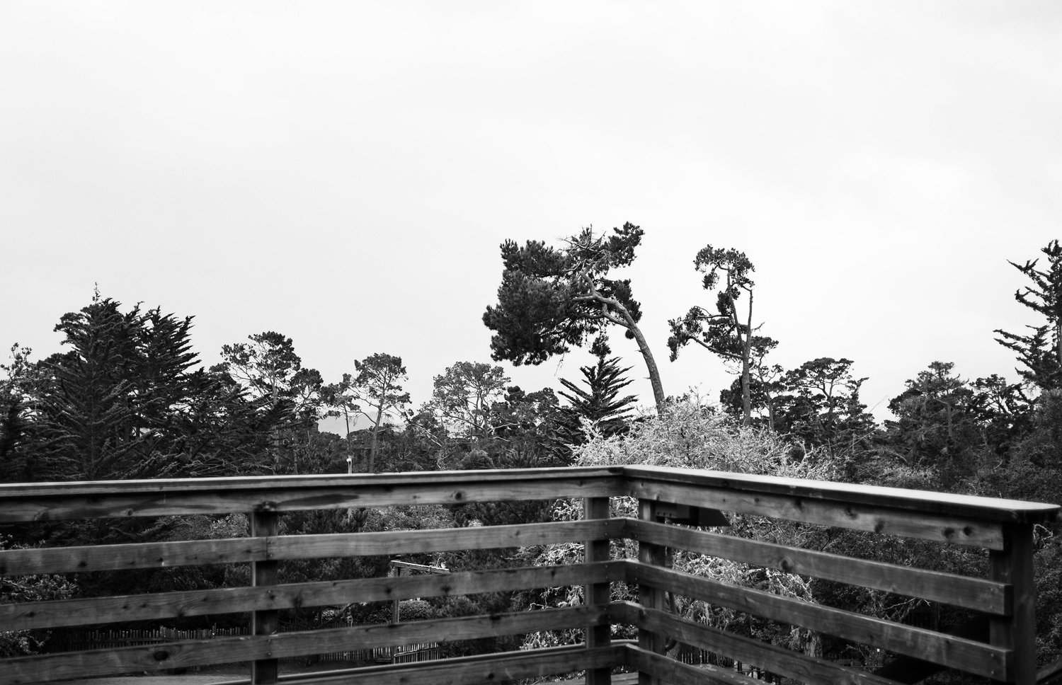 gated_view.jpg