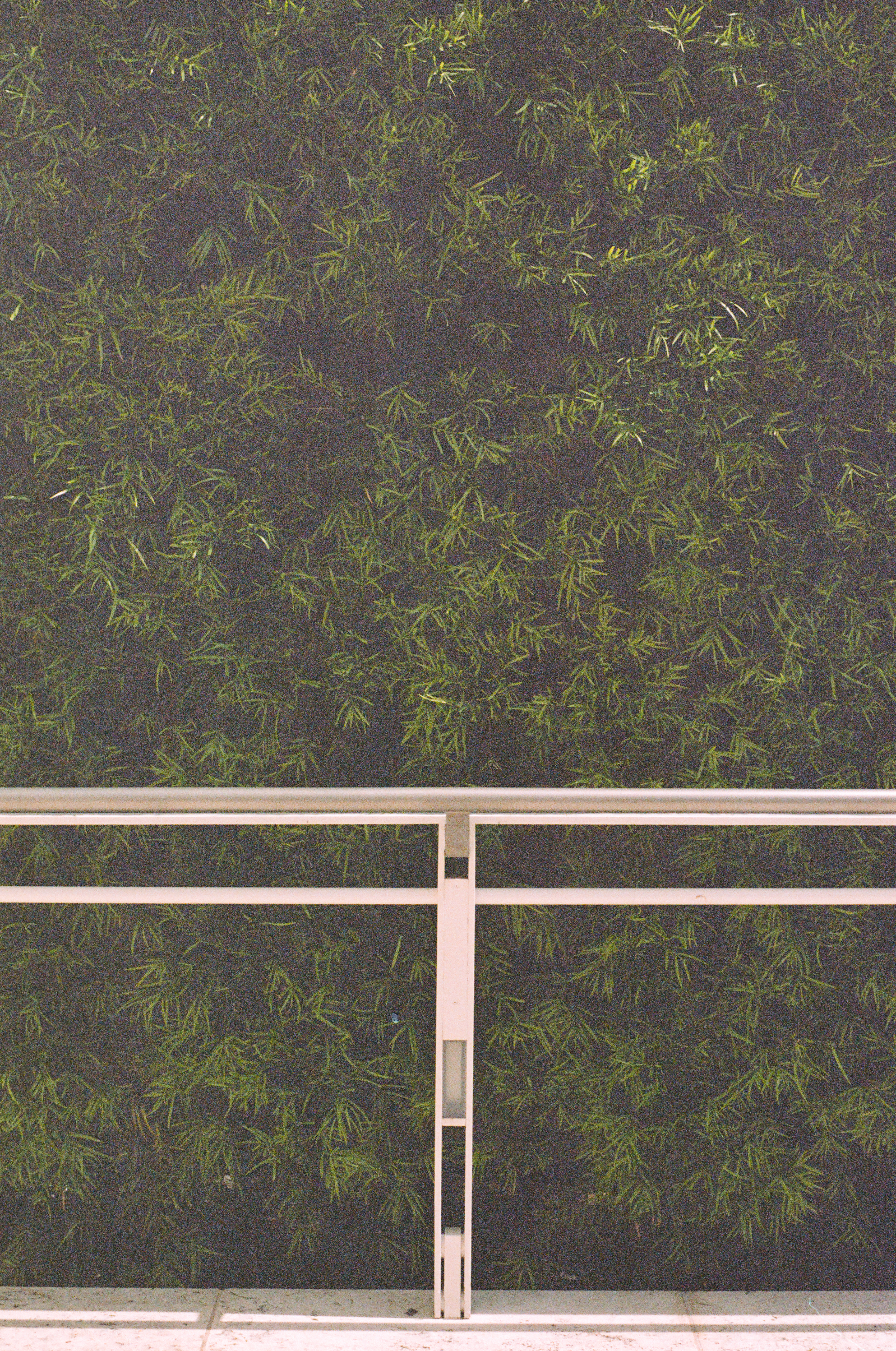 getty-hedge-film.jpg