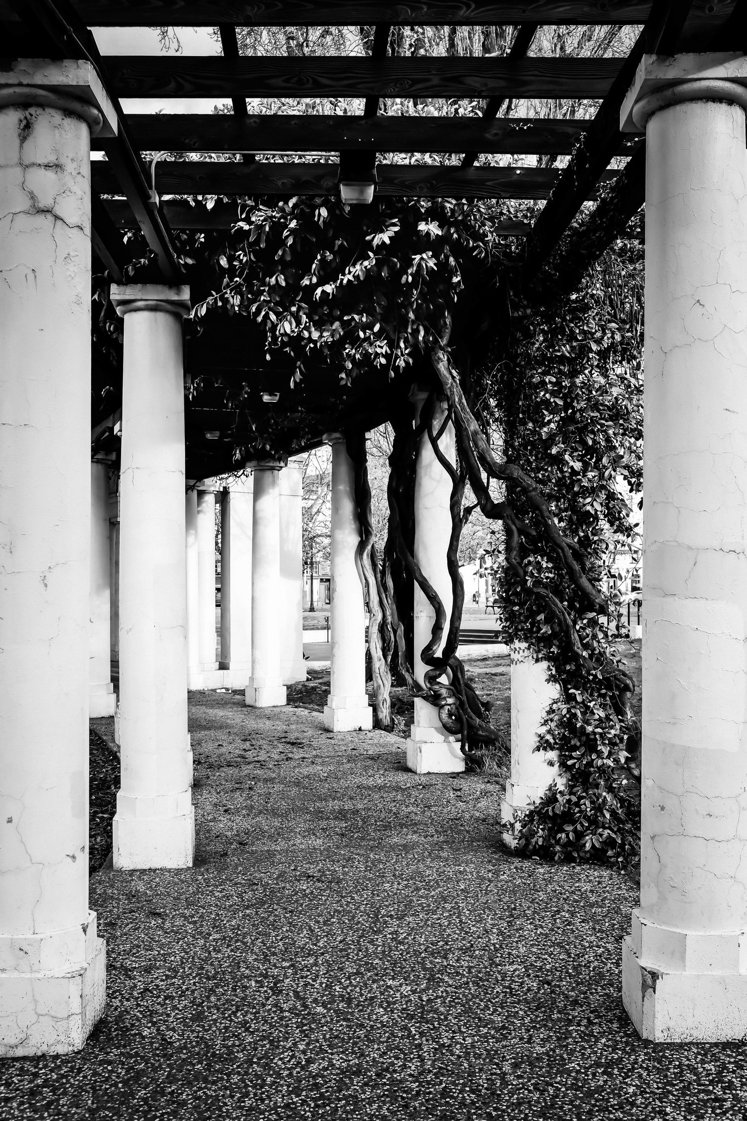 LM_pergola-01.jpg