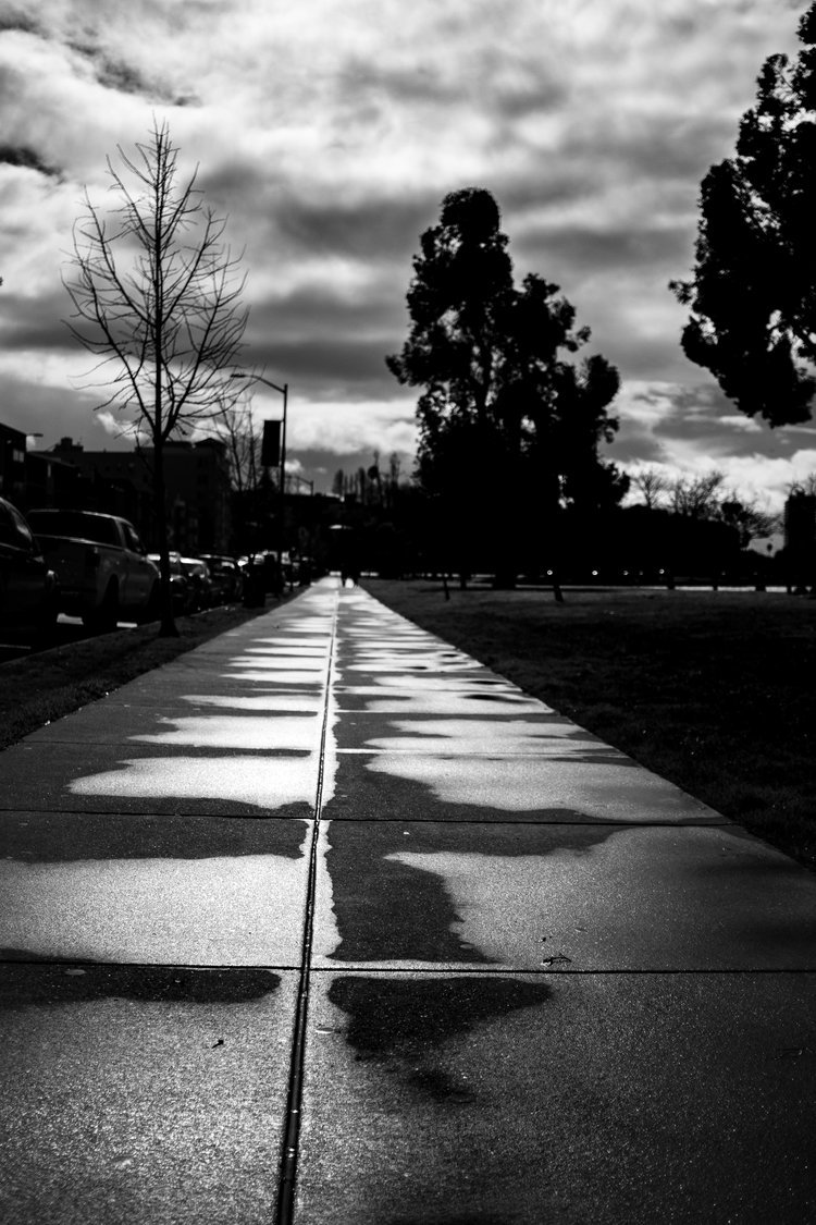 Merritt_Path-01.jpg