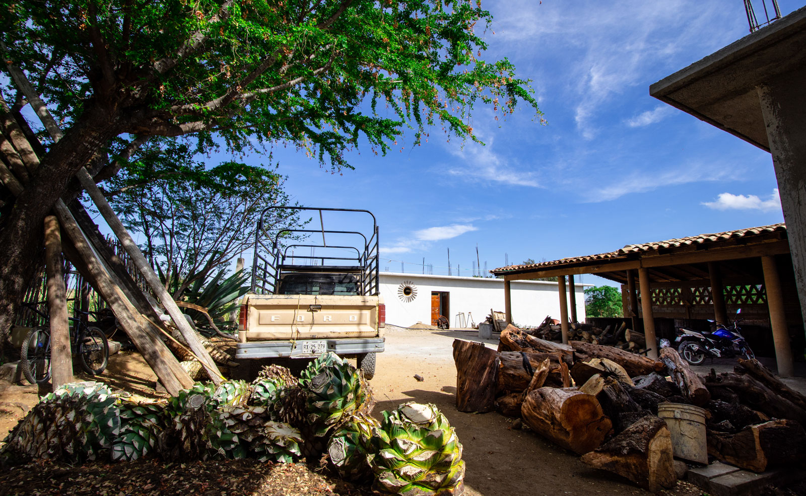 Palenque | Oaxaca, Mexico