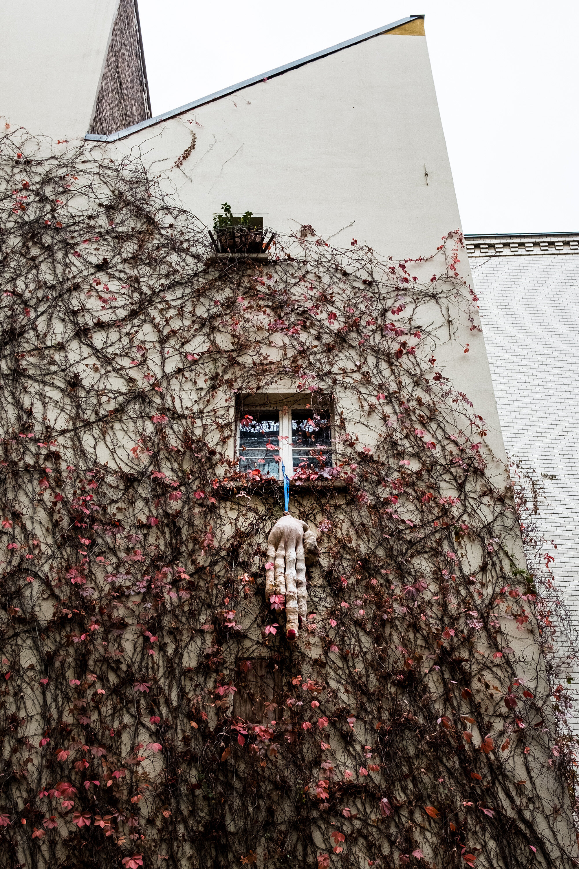 Mitte-Window-Hand-Berlin-2019-01.jpg