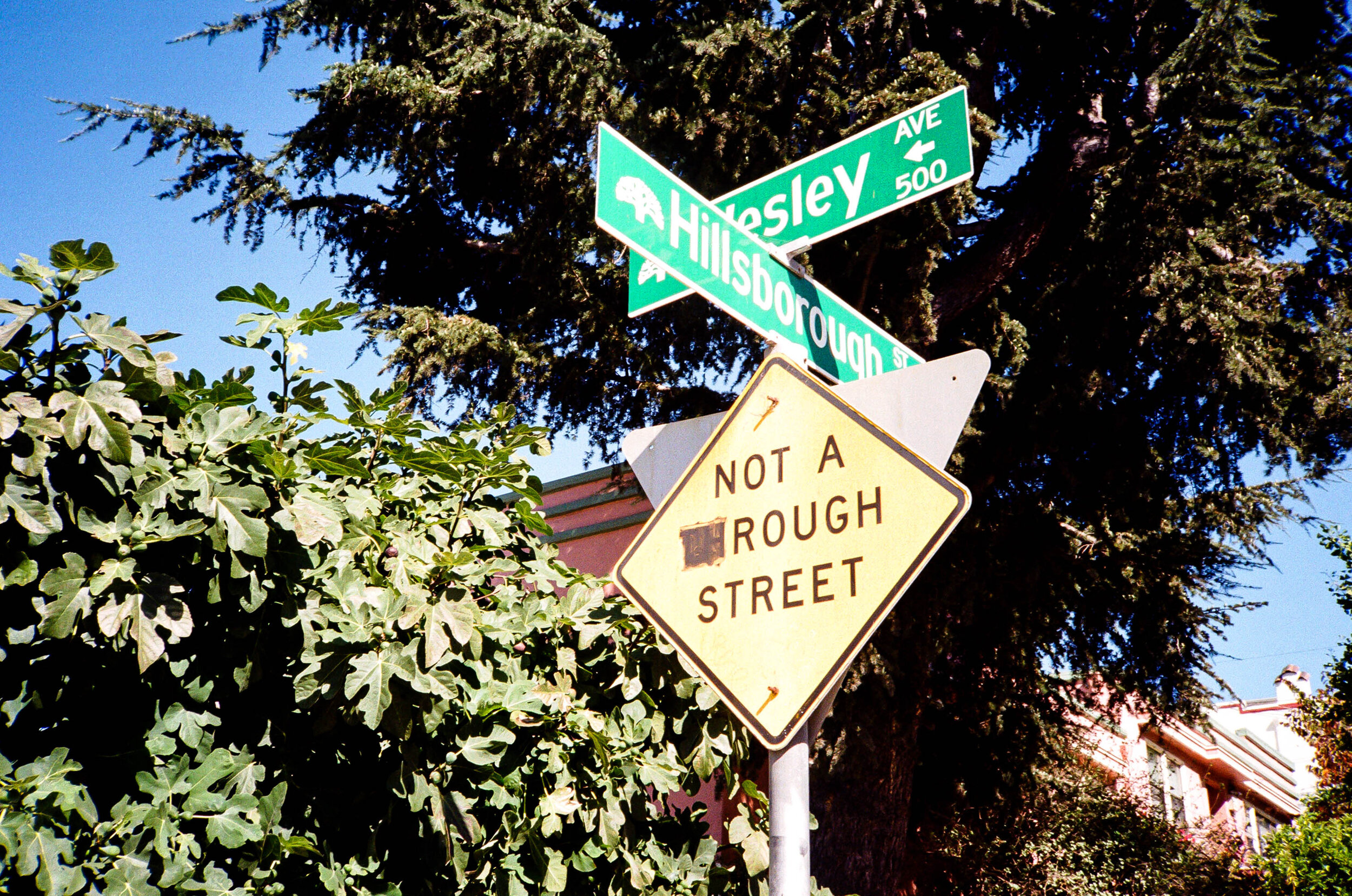 Not-a-Rough-Street.jpg