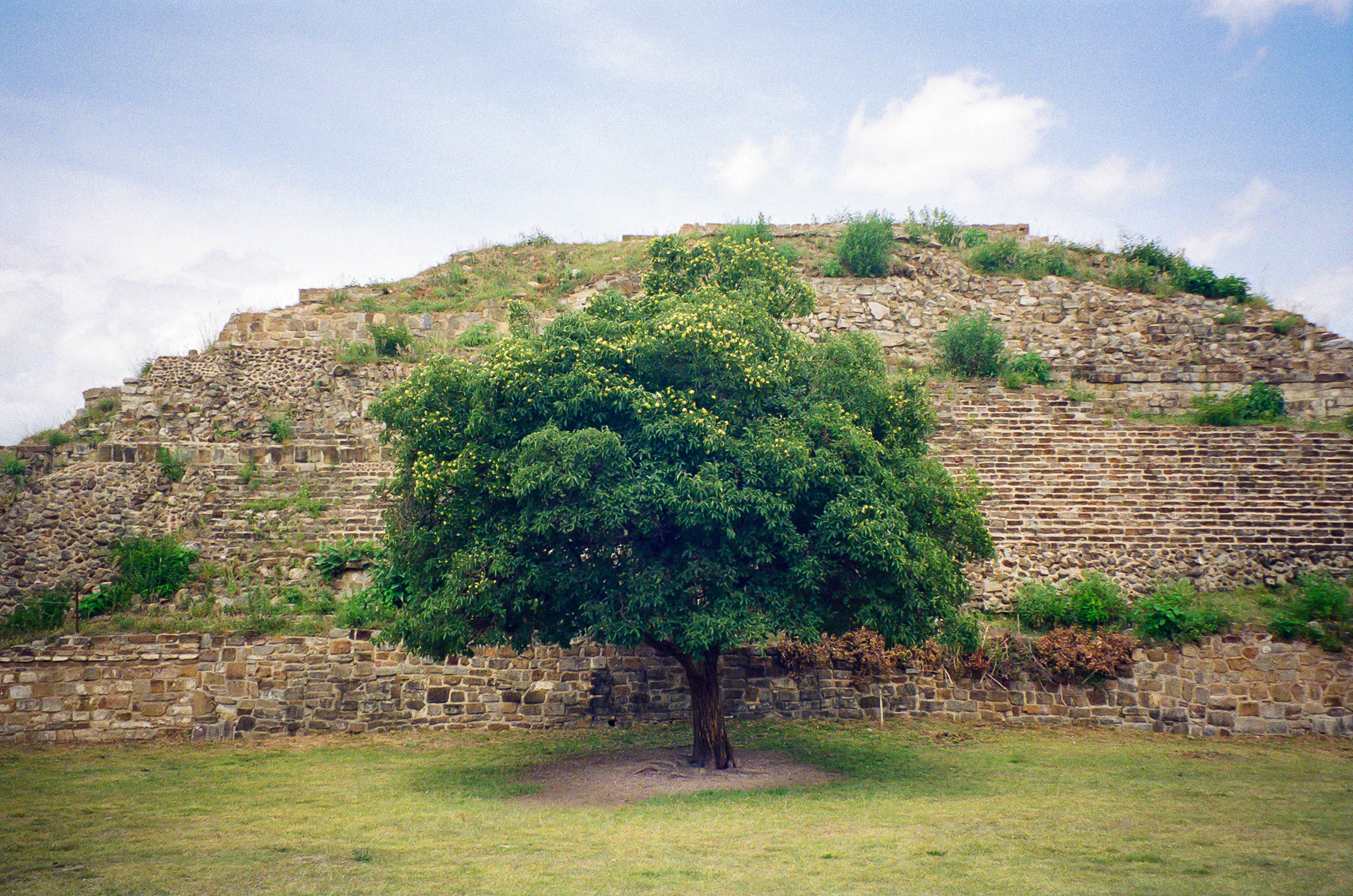 Monte Alban, Oaxaca MX | 2018 