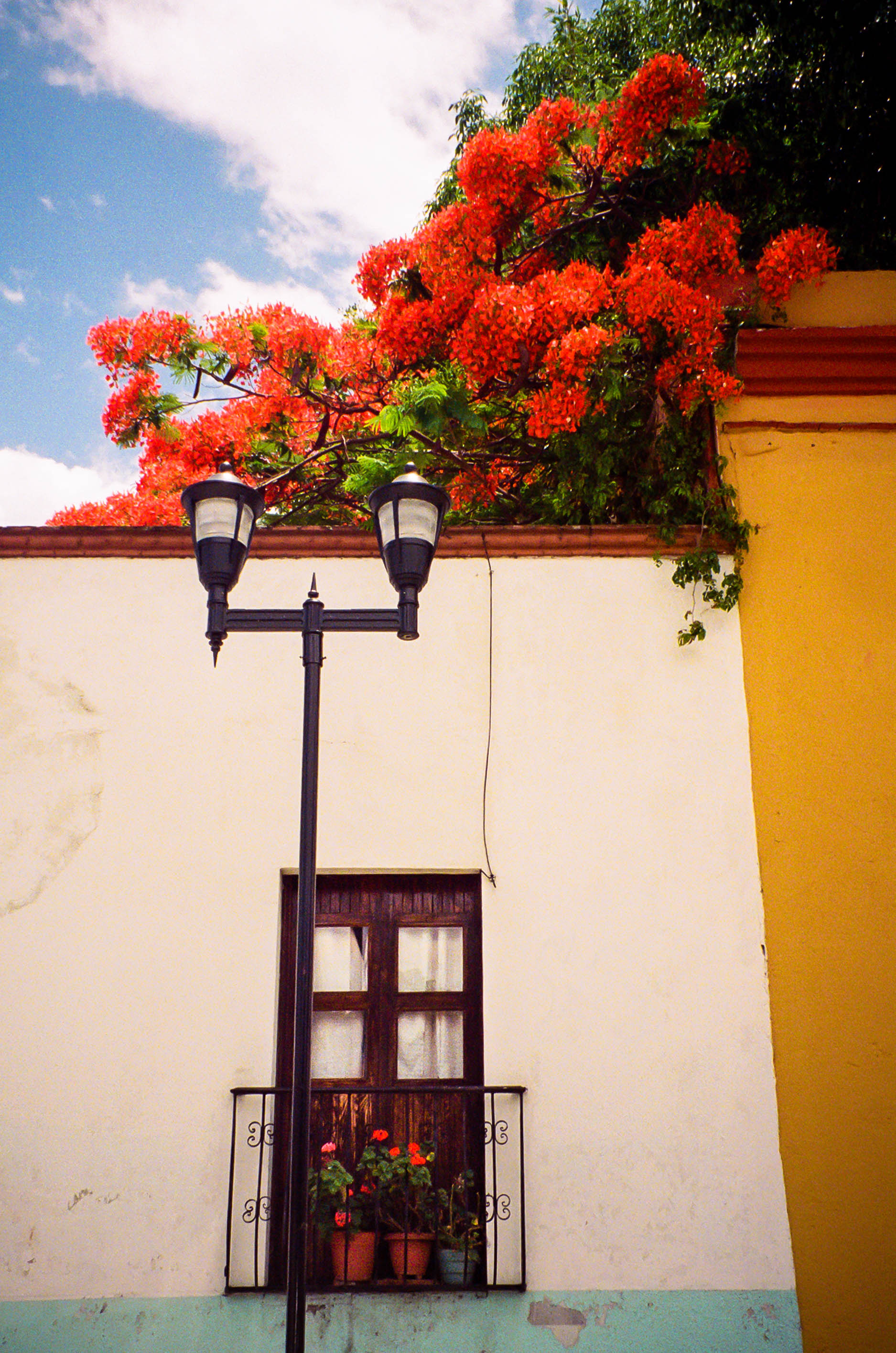 Oaxaca de Juarex, MX | 2018