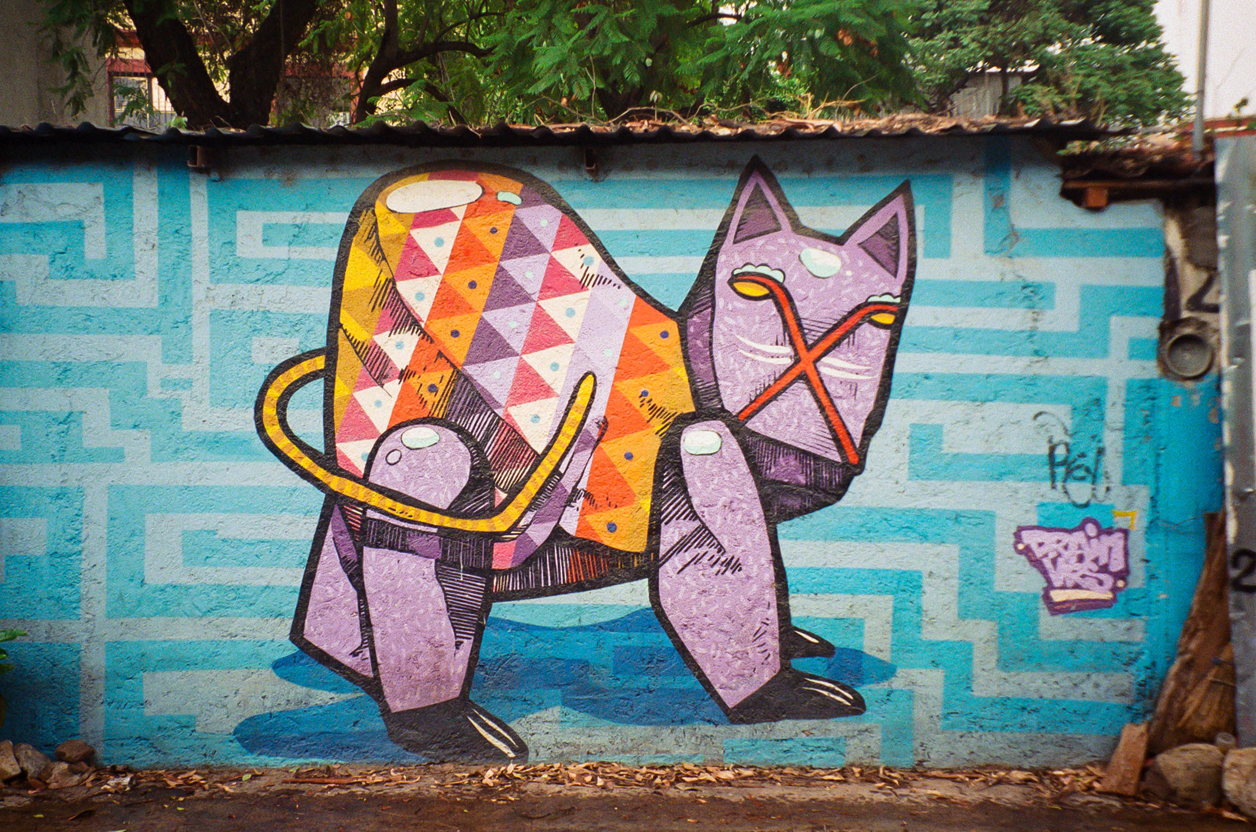 Grafitti, Oaxaca de Juarex, MX | 2018