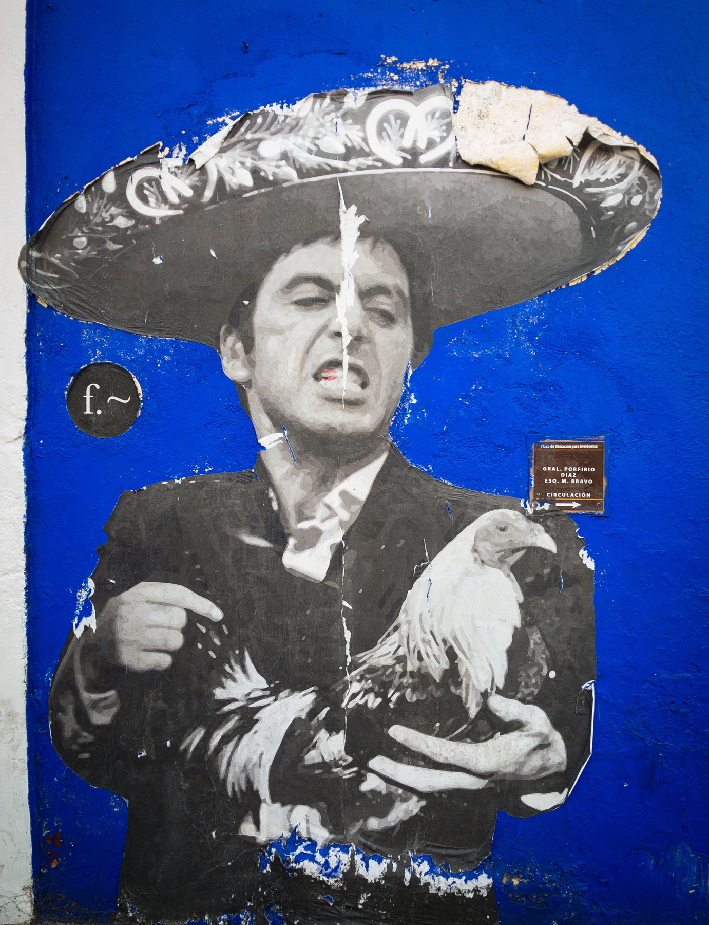Wheat Paste | Oaxaca de Juarez, Mexico