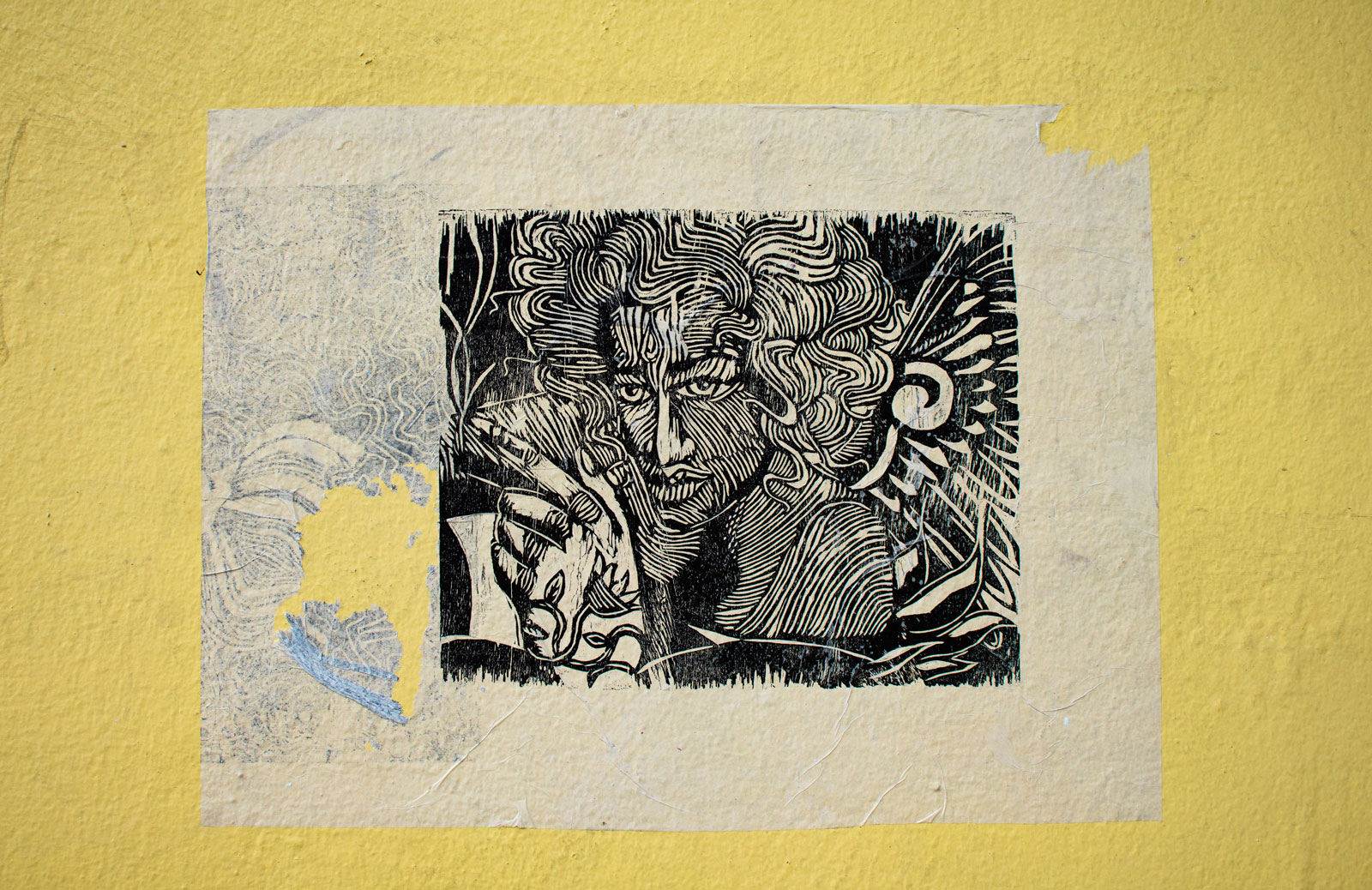 Wheat Paste | Oaxaca de Juarez, Mexico