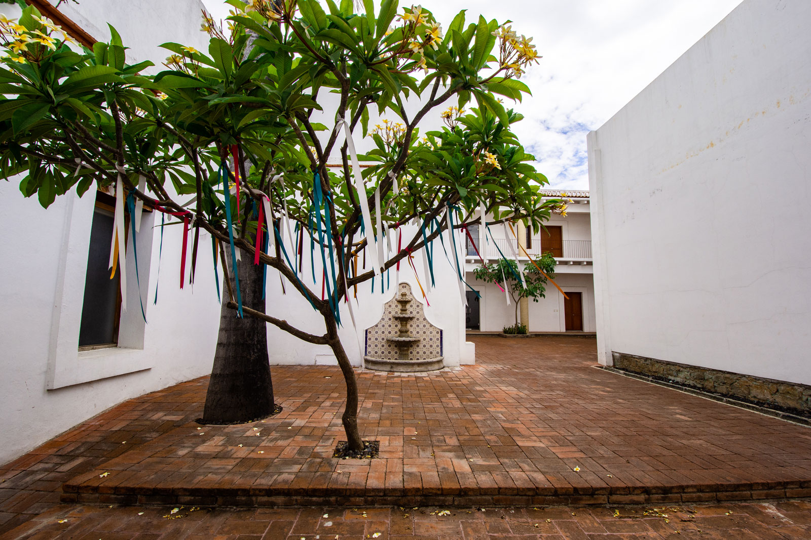 Museo Belber Jiménez | Oaxaca de Juarez, Mexico
