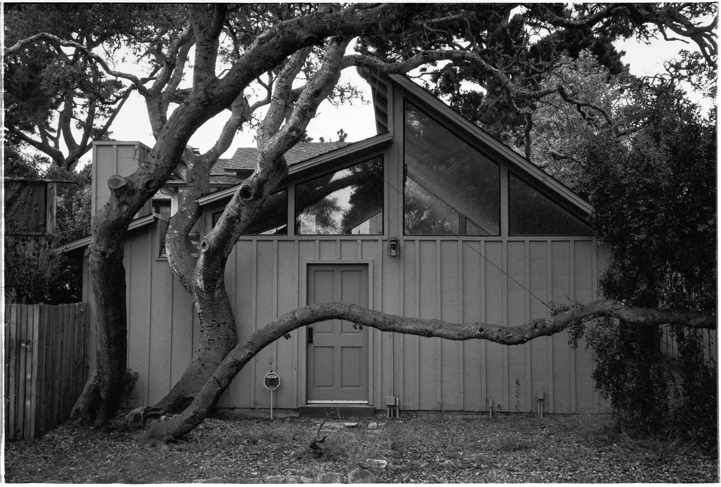 OXA-TX400-Carmel-BasicMidCenturyModern-01.jpg