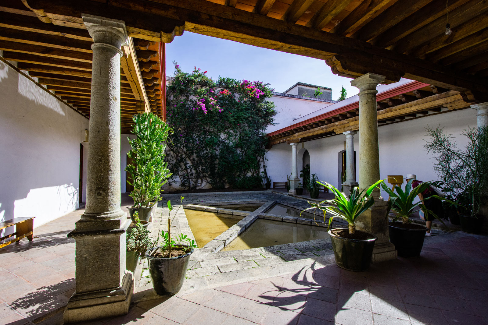 Museo Belber Jiménez | Oaxaca de Juarez, Mexico