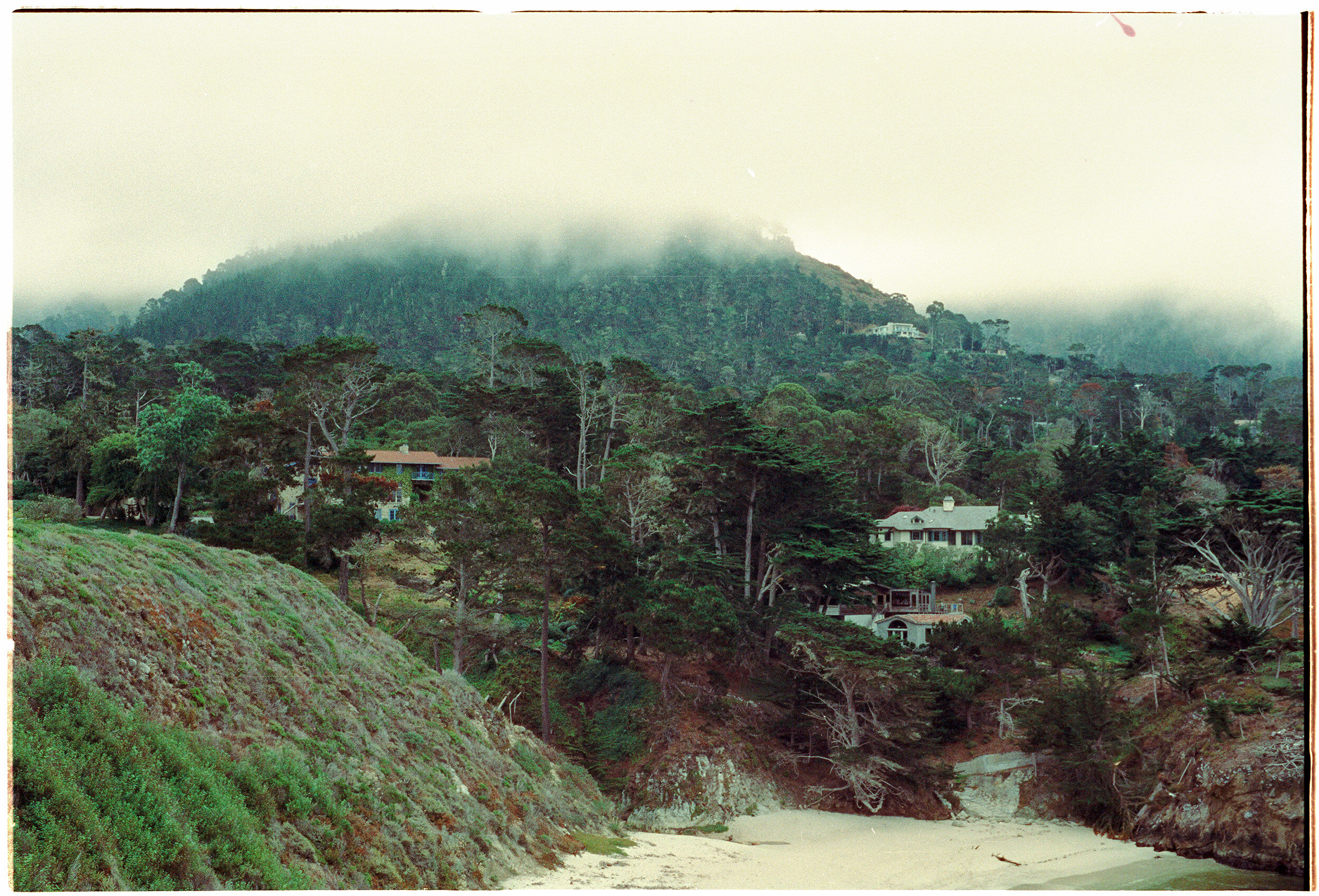 point-lobos-2020.07-xgm-05.jpg