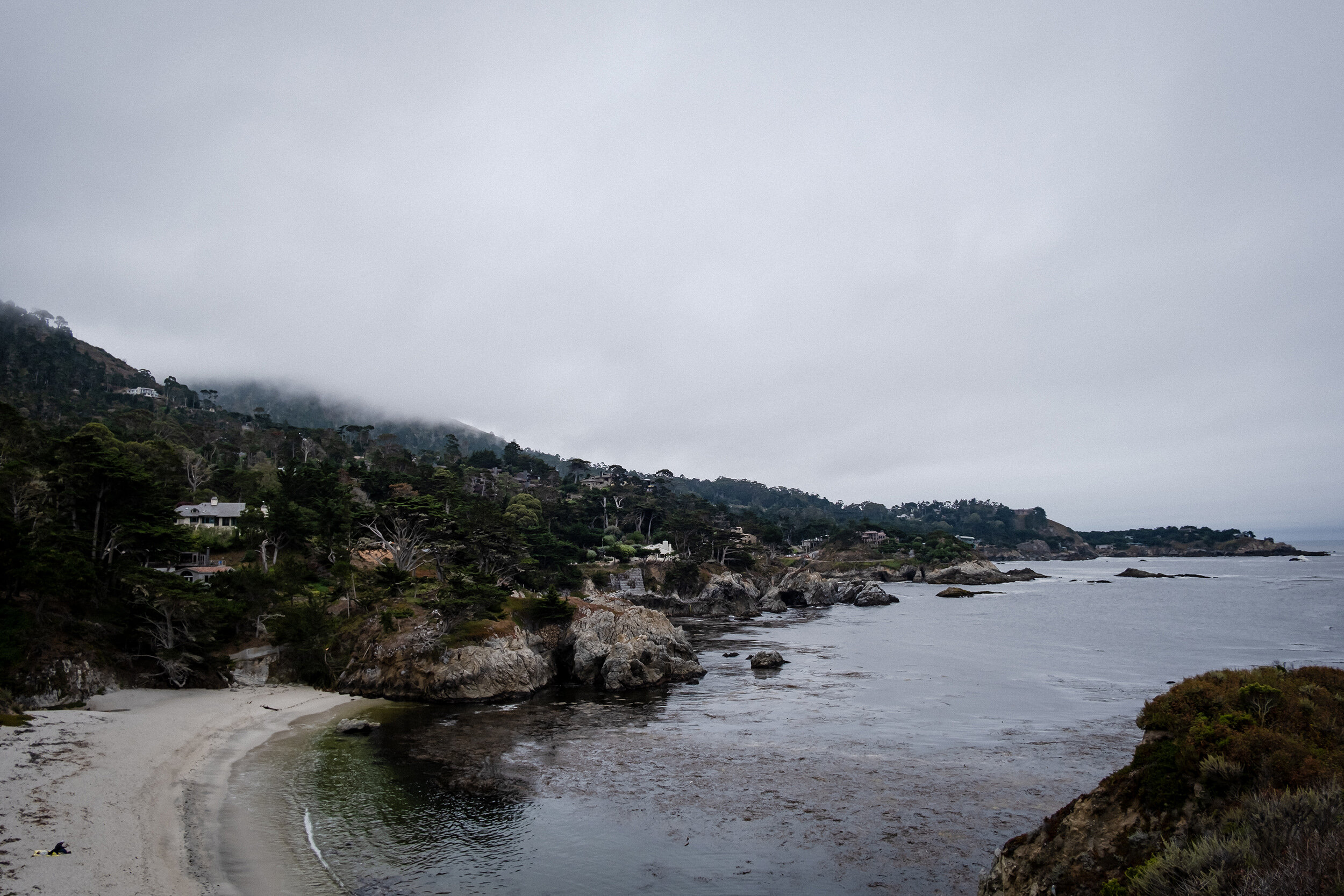 point-lobos-2020.07-xpro3-04.jpg