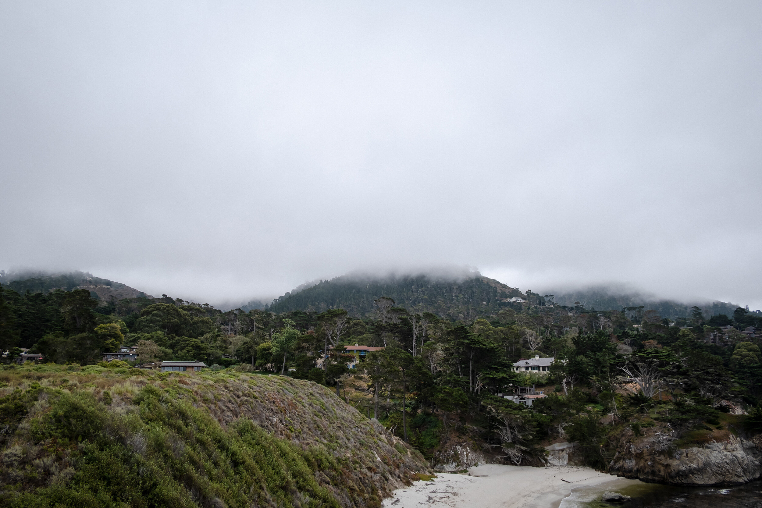point-lobos-2020.07-xpro3-05.jpg