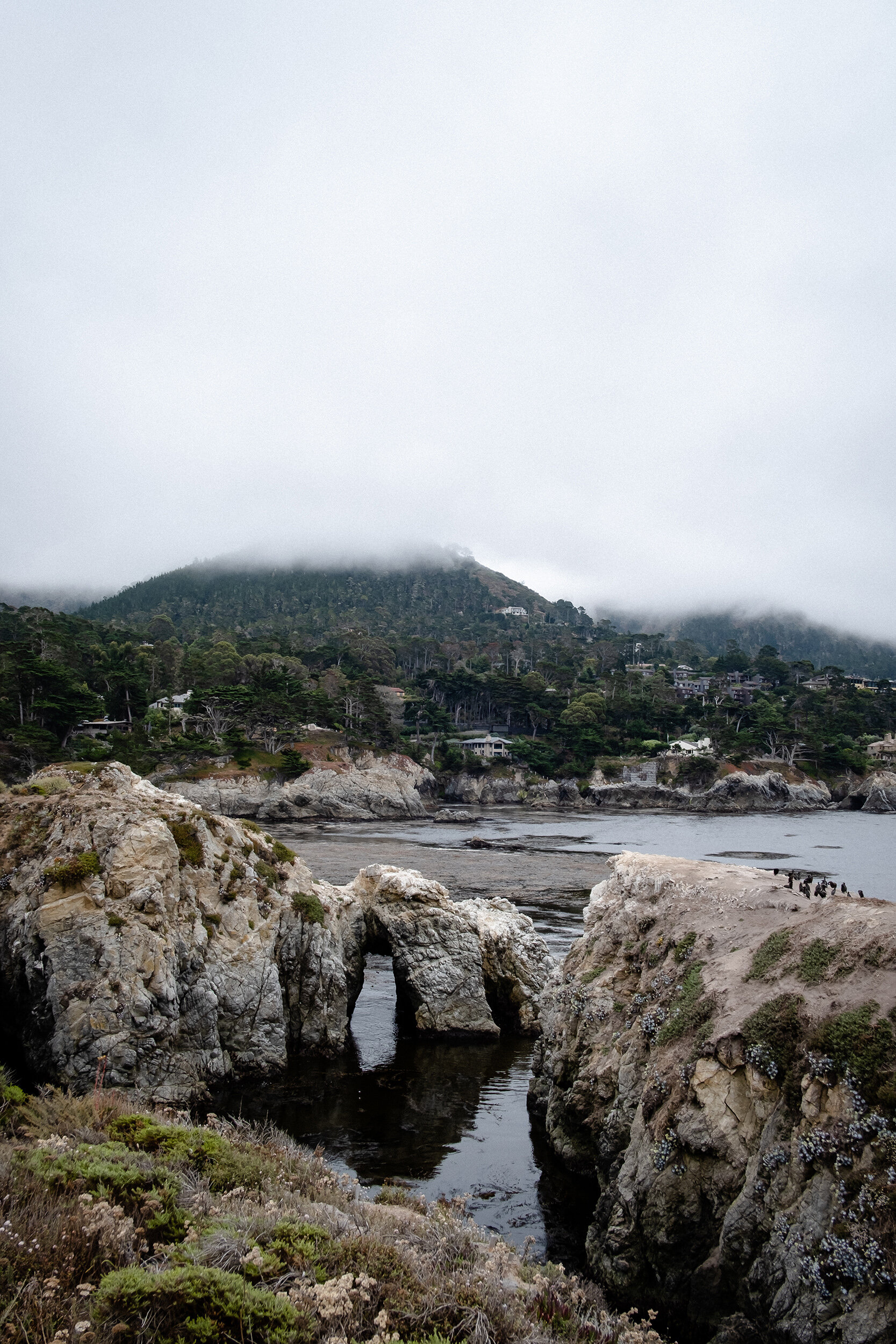 point-lobos-2020.07-xpro3-06.jpg
