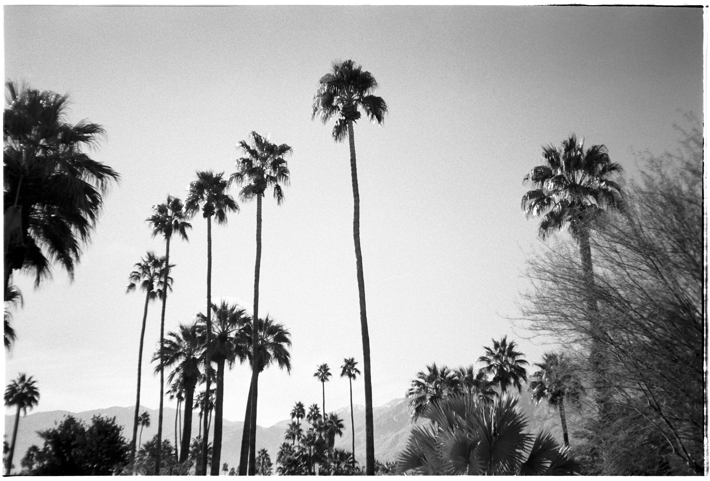 PS-neighborhood-02-TX400-XA copy.jpg