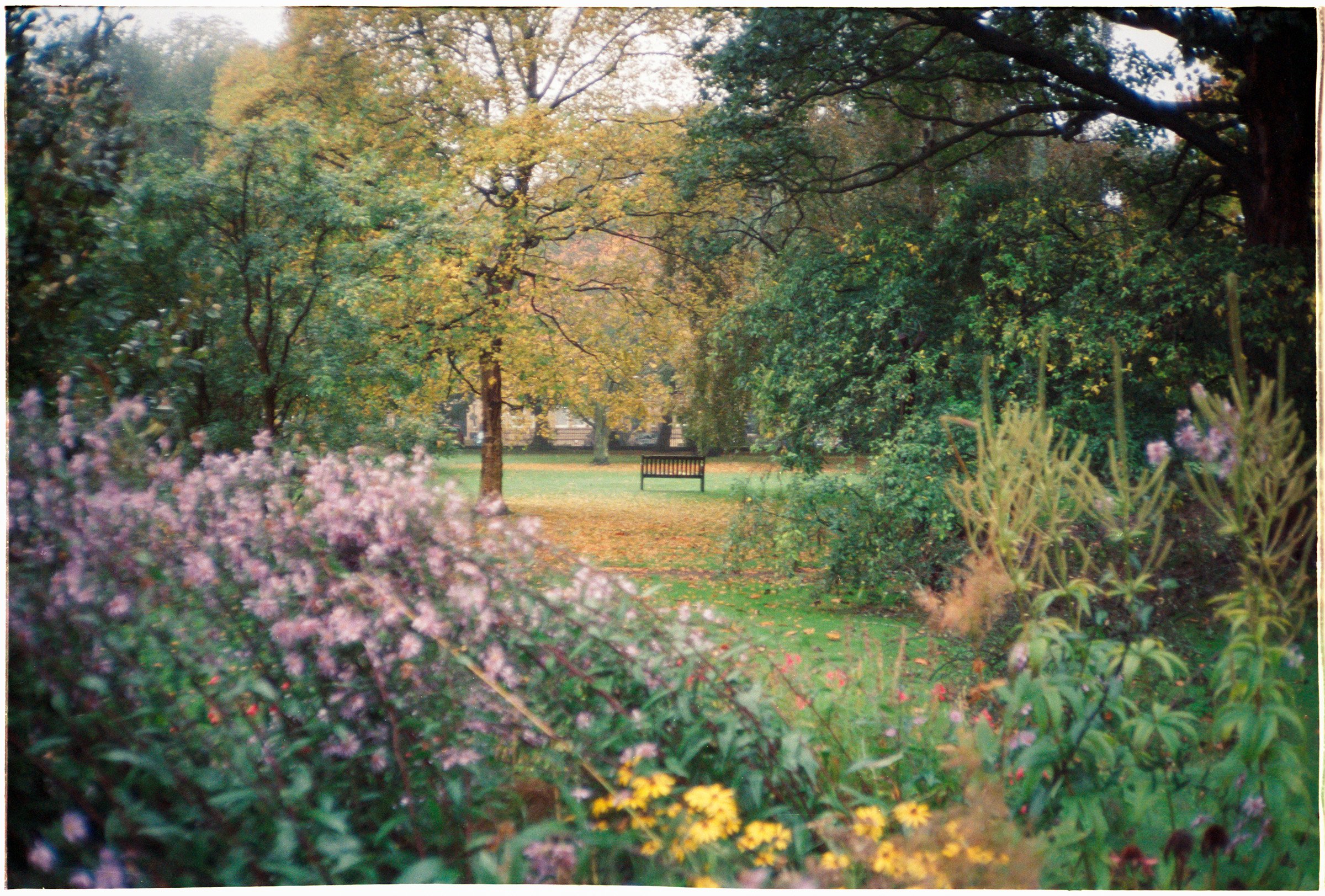 Scotland21-4.2-83.jpg