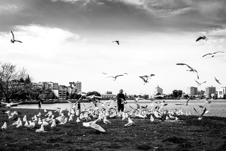 swarm-01.jpg