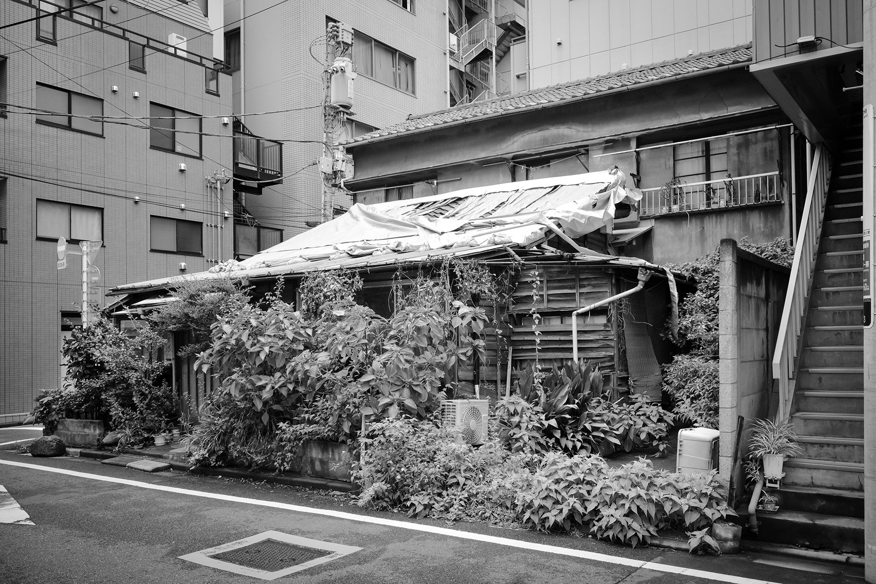 Tokyo-102024-M10M-28mm-11.jpg