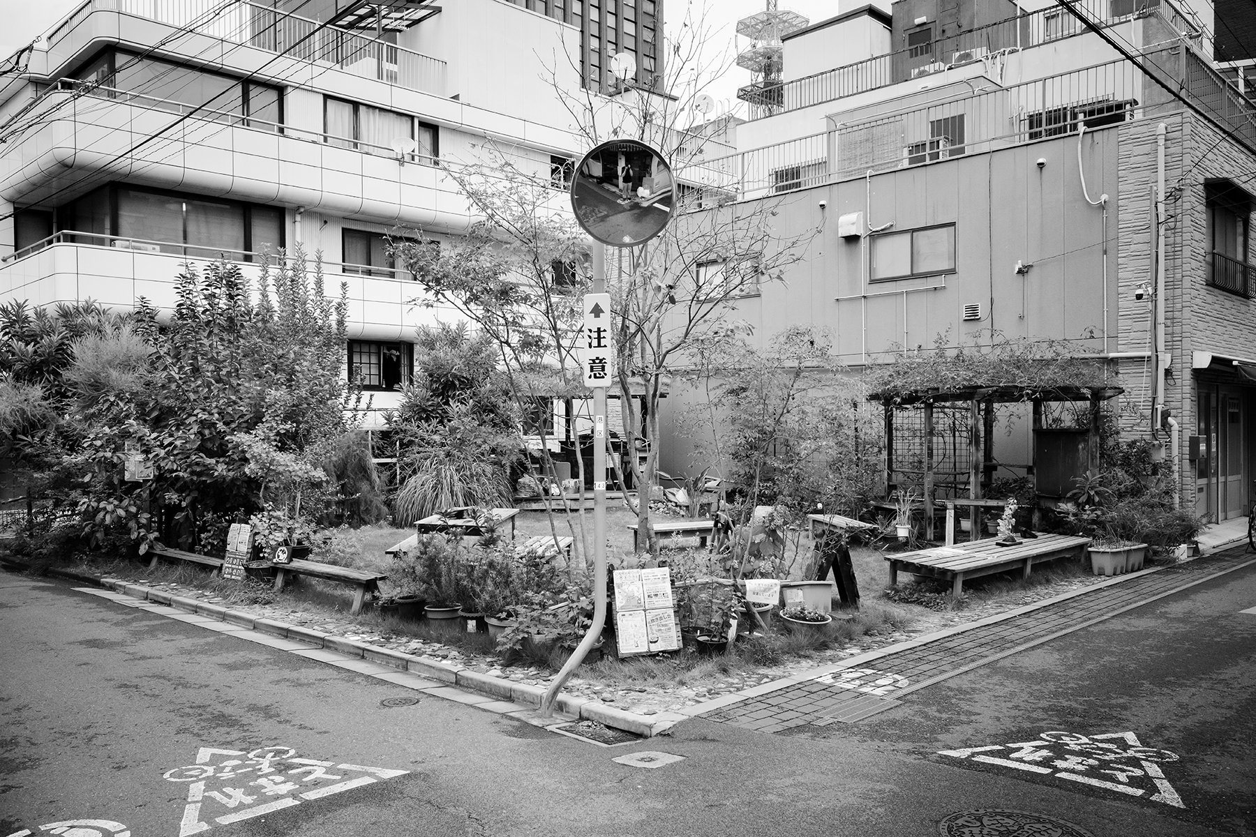 Tokyo-102024-M10M-28mm-15.jpg