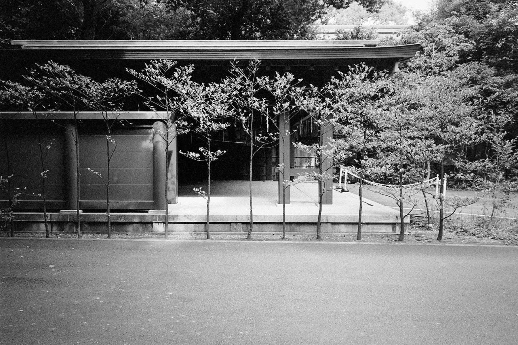 Tokyo-102024-MP-28mm-21.jpg