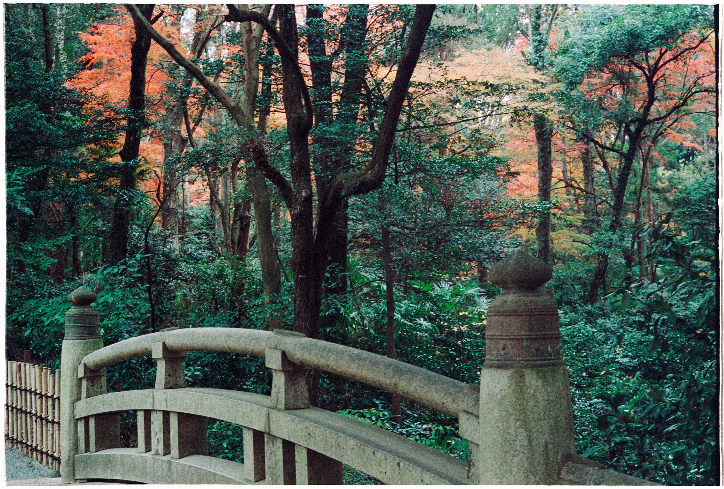 Tokyo-2022-MP-Portra800-01. copy.jpg