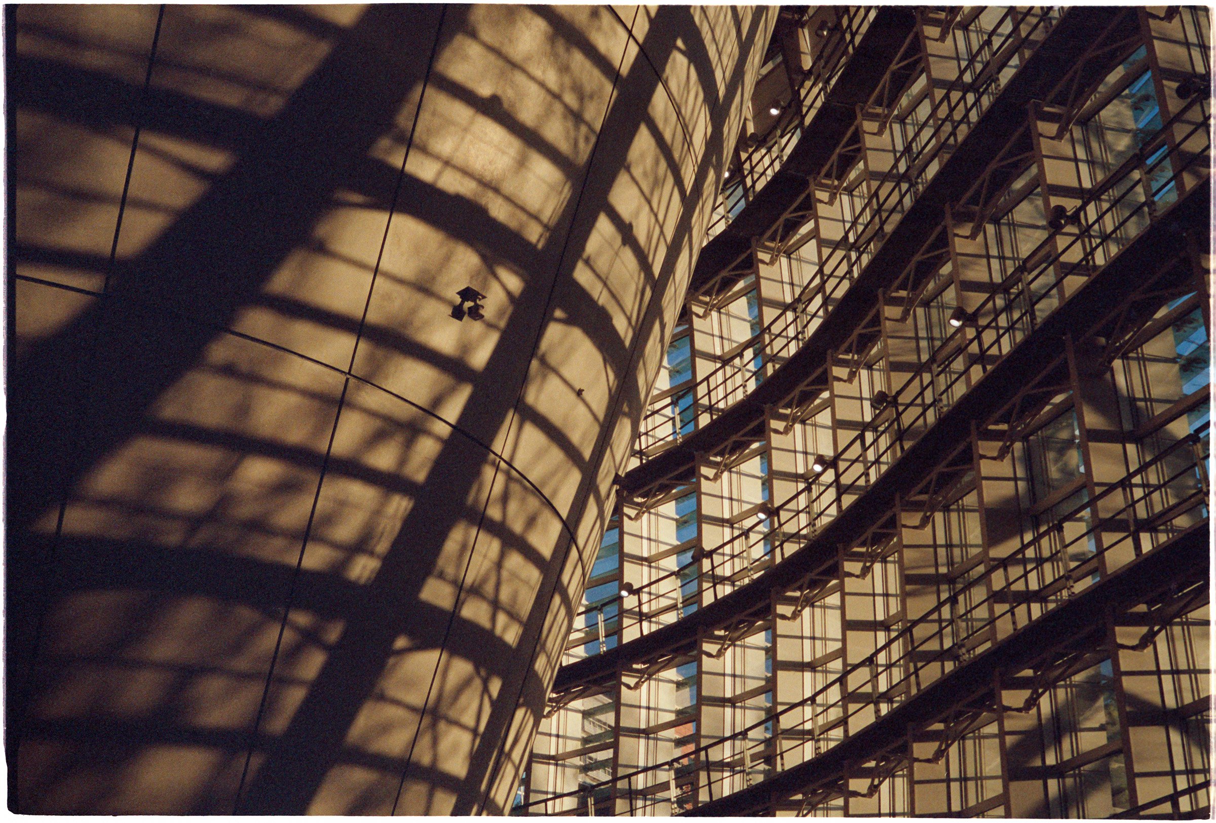 Tokyo-2022-MP-Portra800-24 copy.jpg