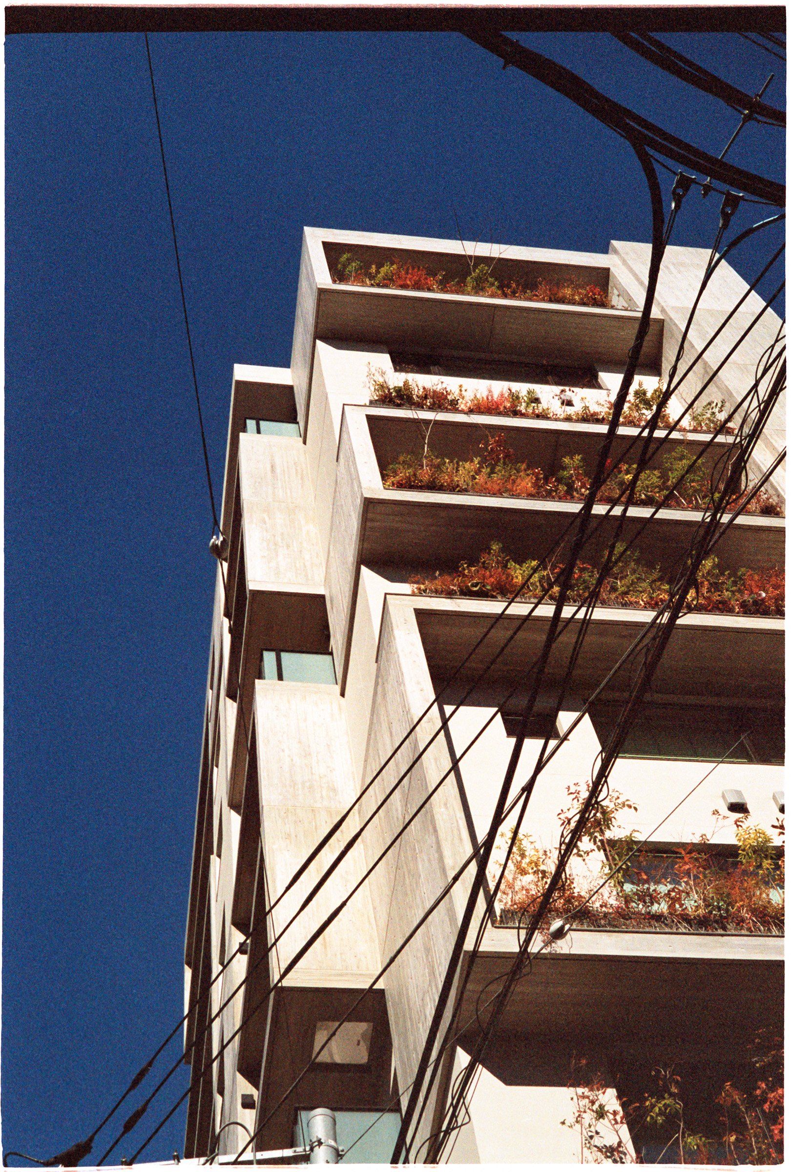 Tokyo-2022-MP-Portra800-28 copy.jpg