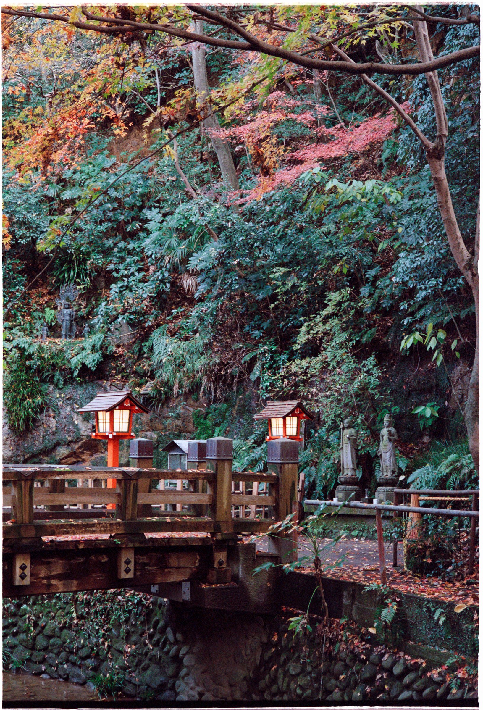 Tokyo-2022-MP-Portra800-39 copy.jpg