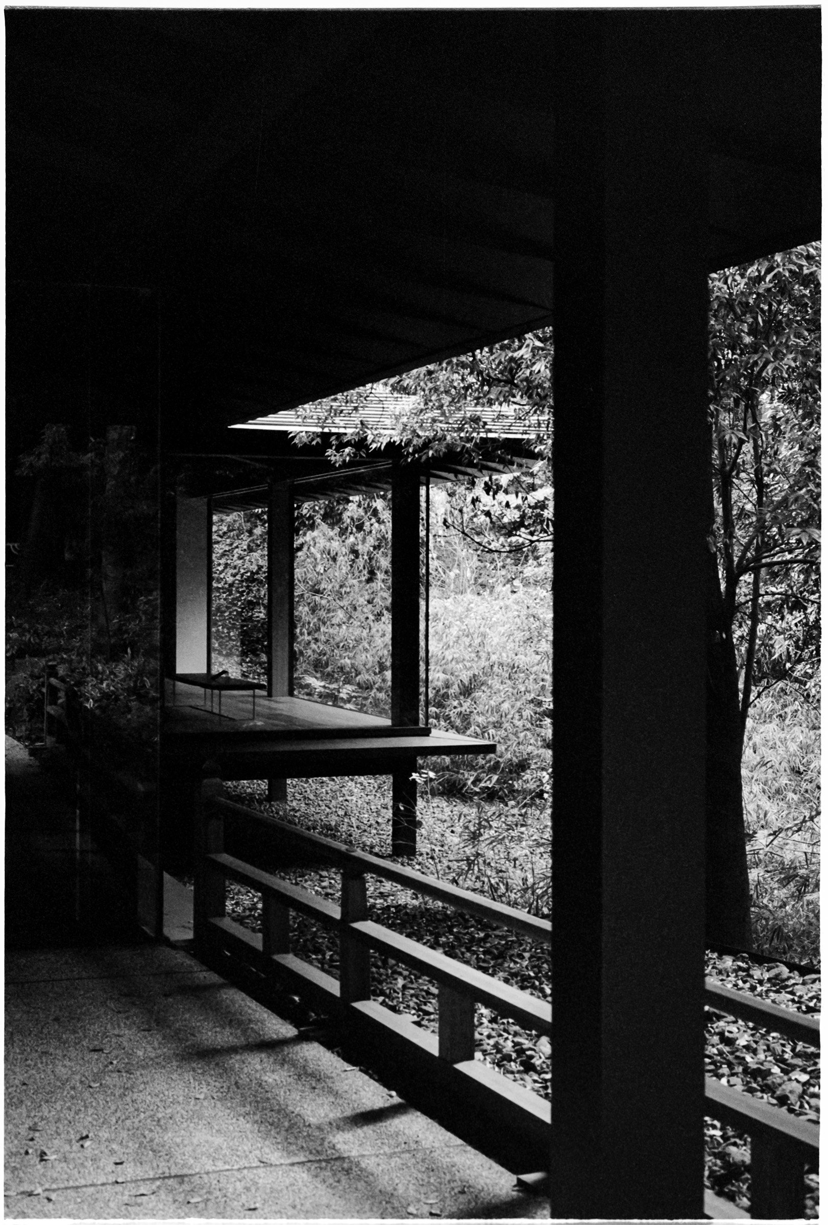 Tokyo-2022-MP-TriX400+1-10 copy.jpg