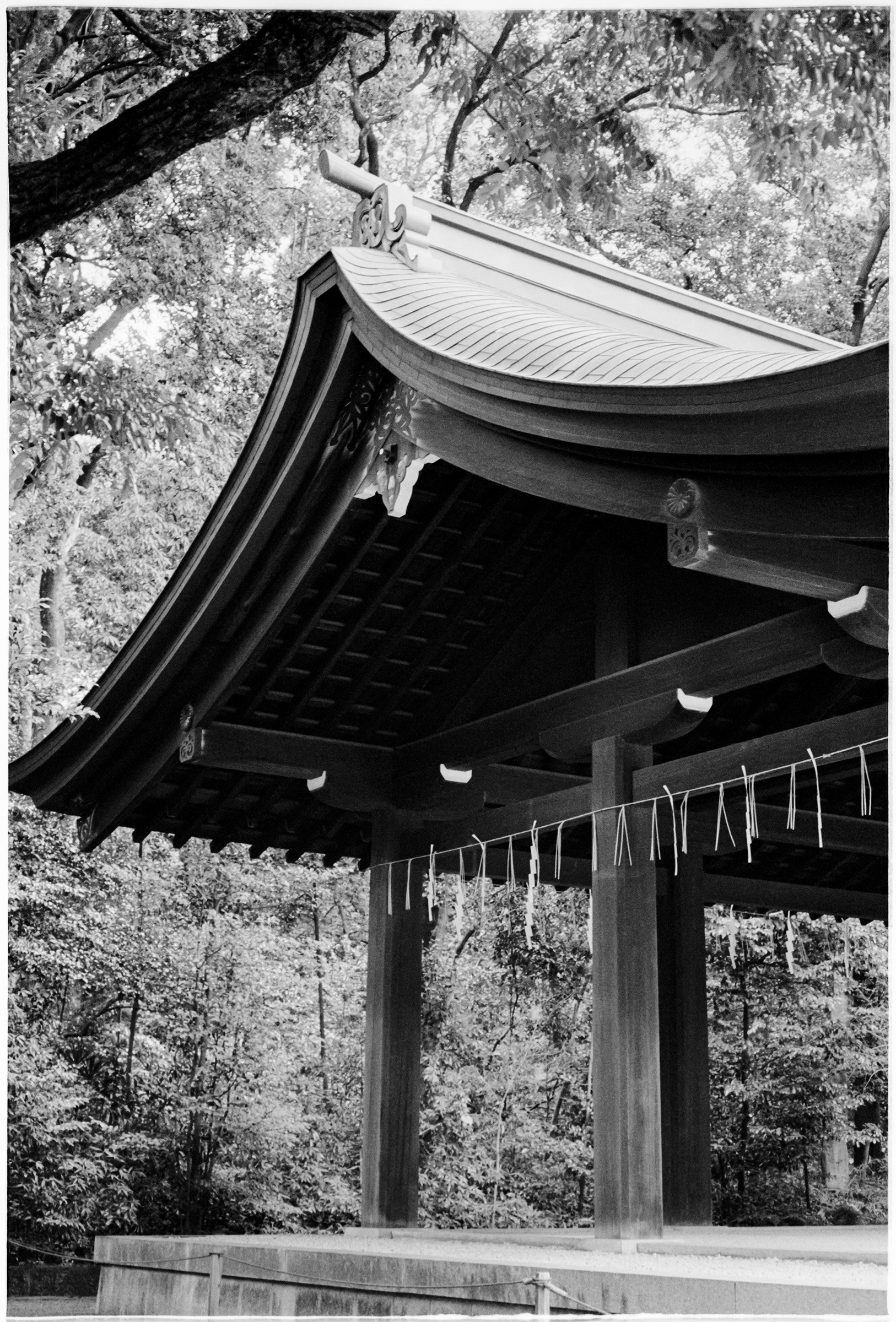 Tokyo-2022-MP-TriX400+1-15 copy.jpg
