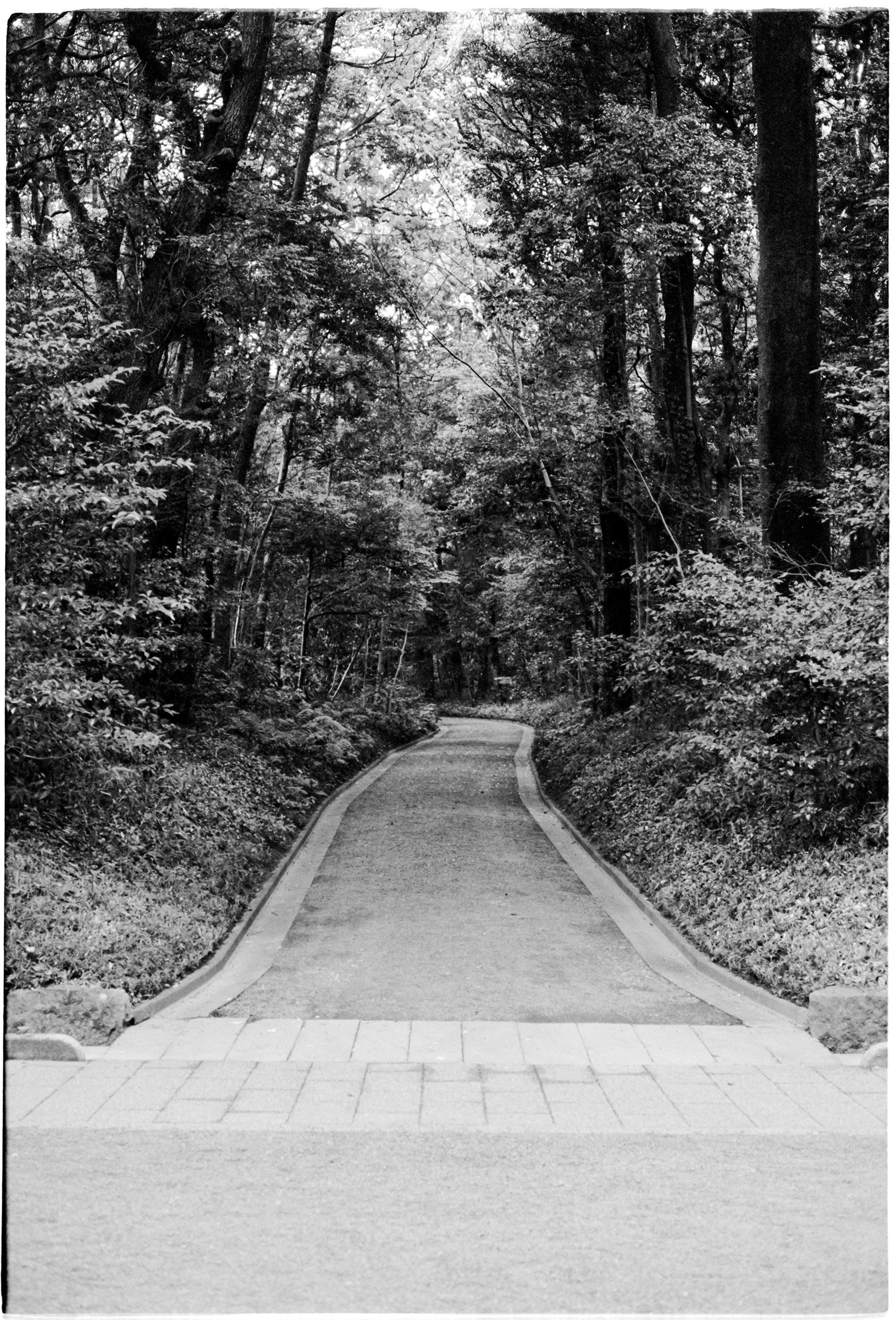 Tokyo-2022-MP-TriX400+1-16 copy.jpg